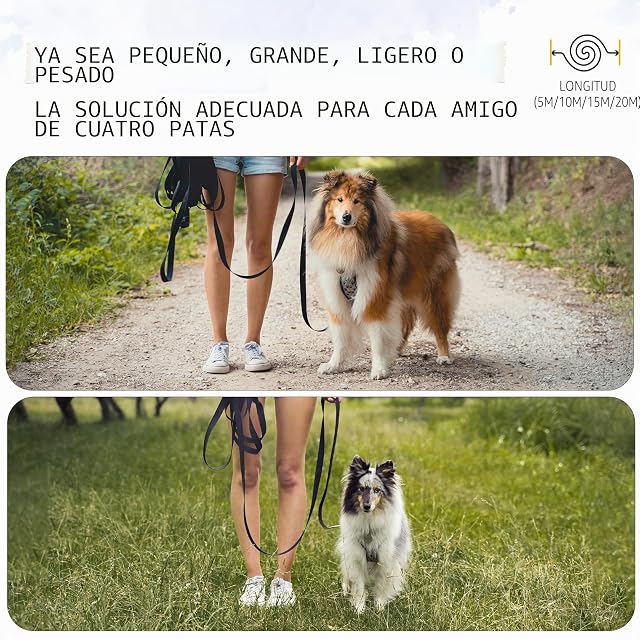 Foto 7 de 7 de Rudelkönig Correa Larga Perro 10 Metros - Adiestramiento y Rastreo