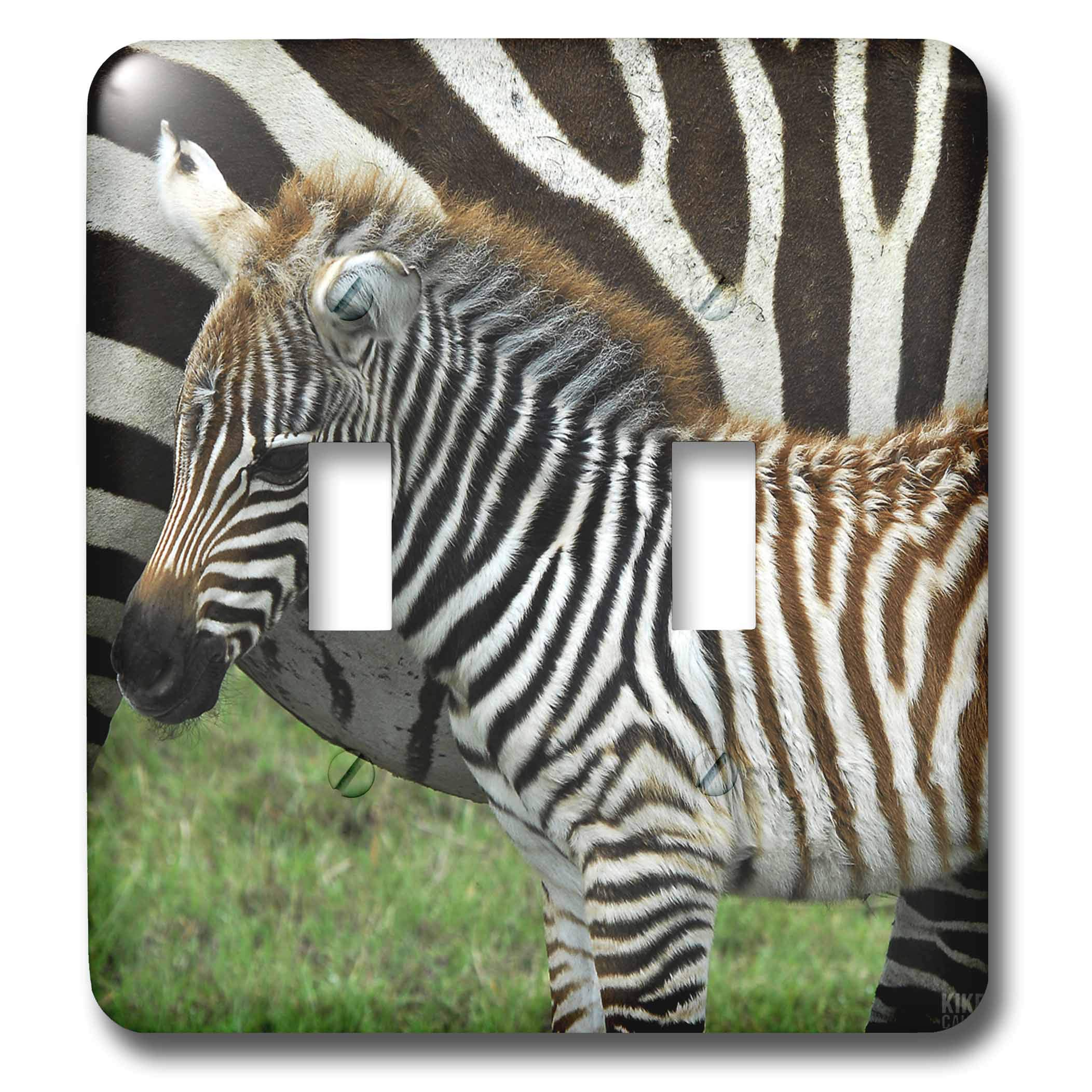 Zebra Kenya Africa 3dRose lsp_9859_2 double interrupteur à bascule décoratif