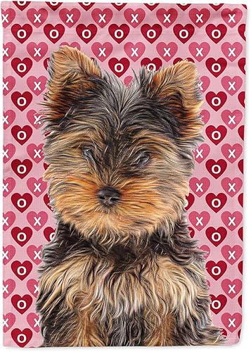 Caroline's Treasures KJ1195GF - Bandera decorativa para jardín con diseño de corazones y Día de San Valentín, Yorkie Puppy/Yorkshire Terrier,