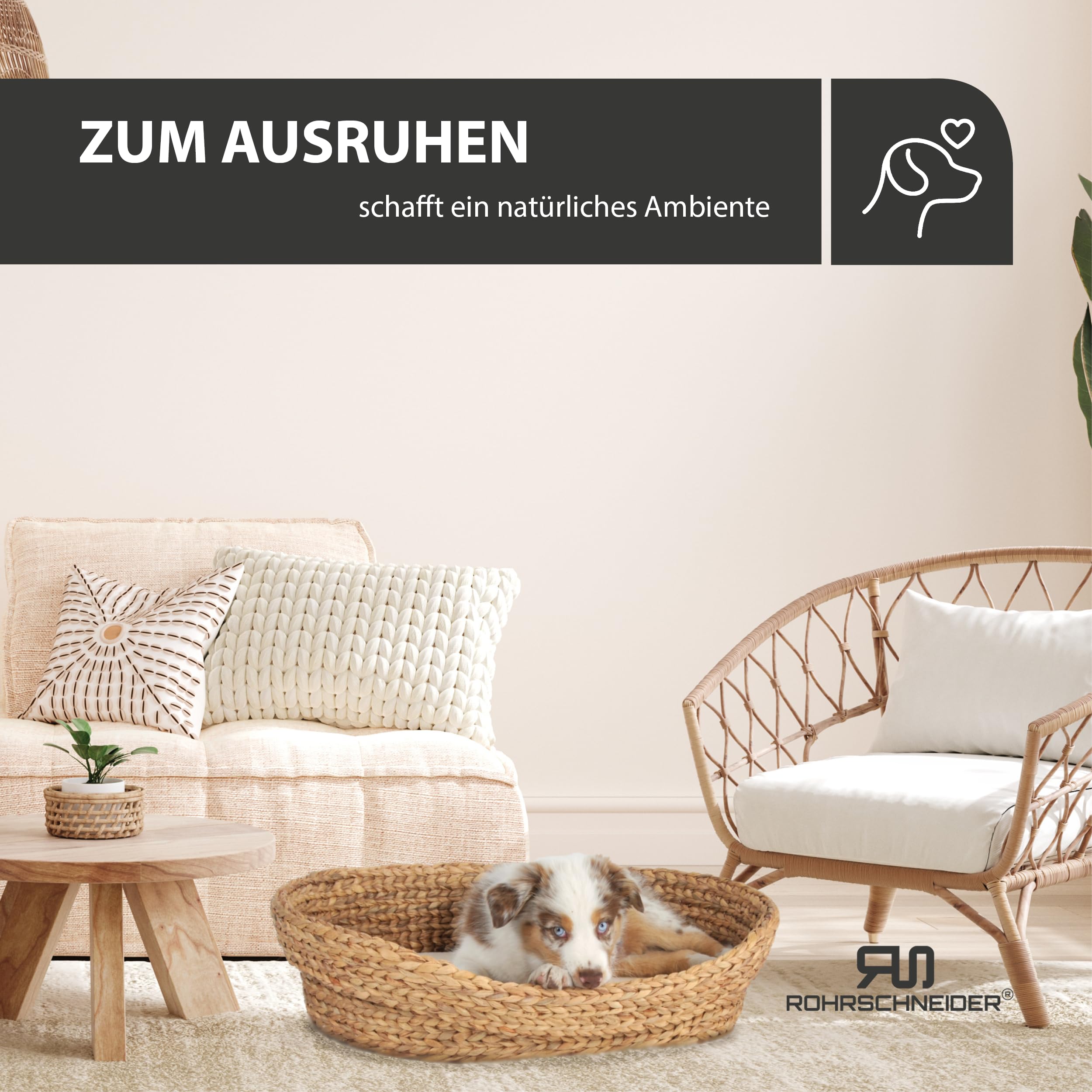 Rohrschneider Komfortables Katzenkörbchen, umweltfreundlich, 2 Größen (2)