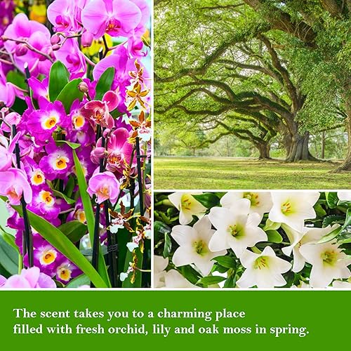 Miniatura 4 de KISSHAKE Decoraciones de jubilación regalos divertidos para compañero de trabajo, jefe, profesor, enfermera, mejor amigo, papá, mamá - Velas