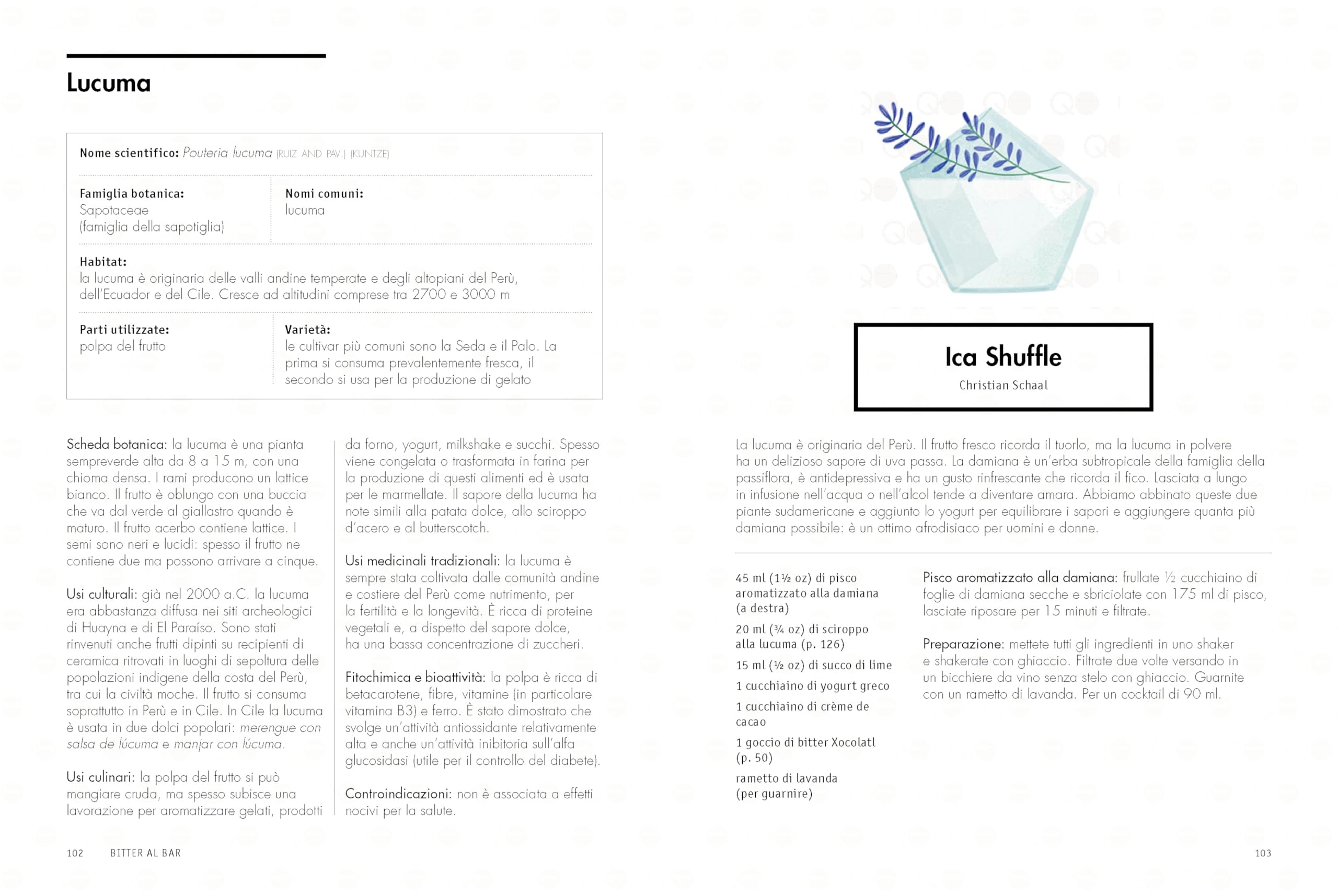 La botanica al bar. L'arte e la scienza di preparare i bitter