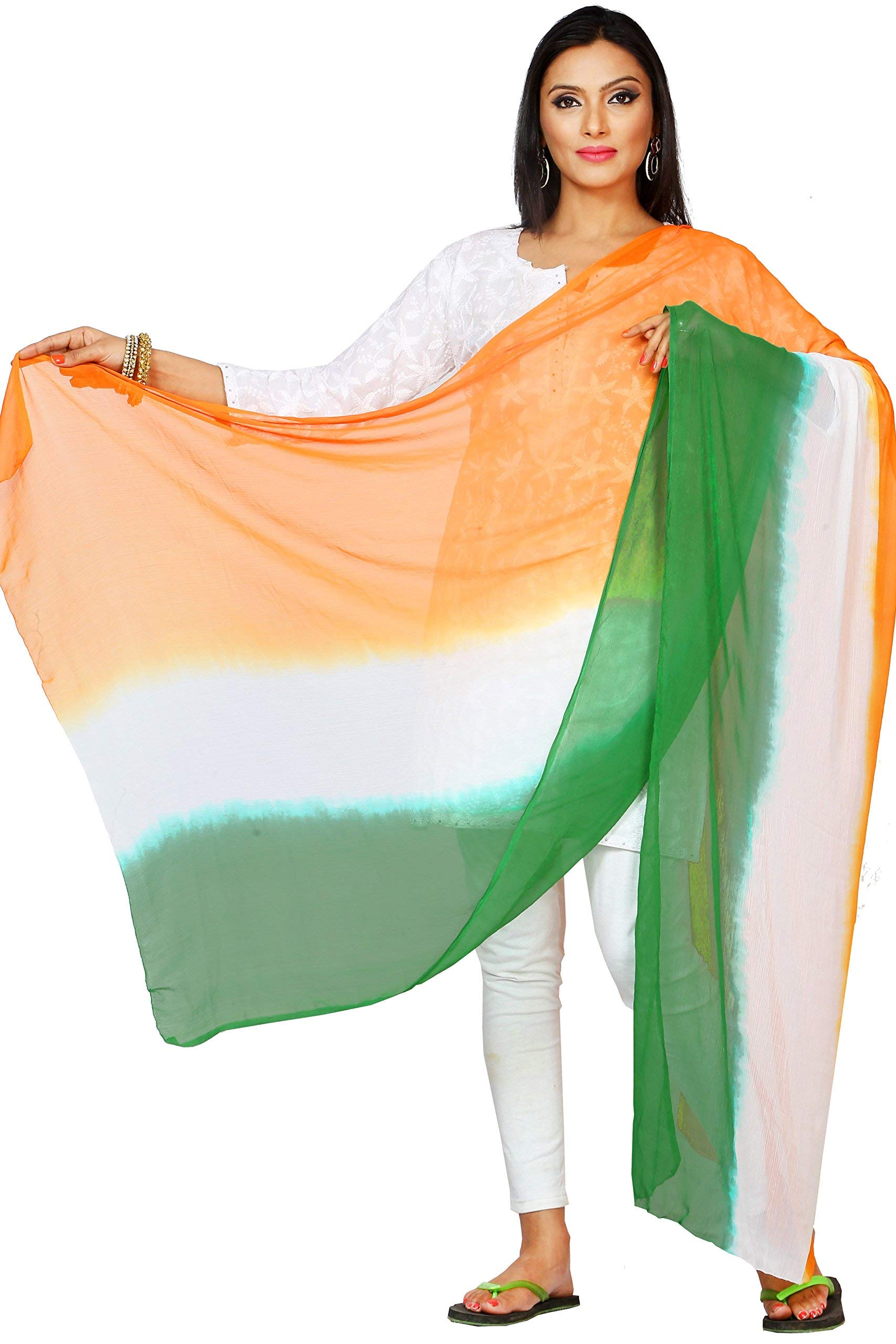 rani saahiba Women's Solid Chiffon Dupatta-picture-51