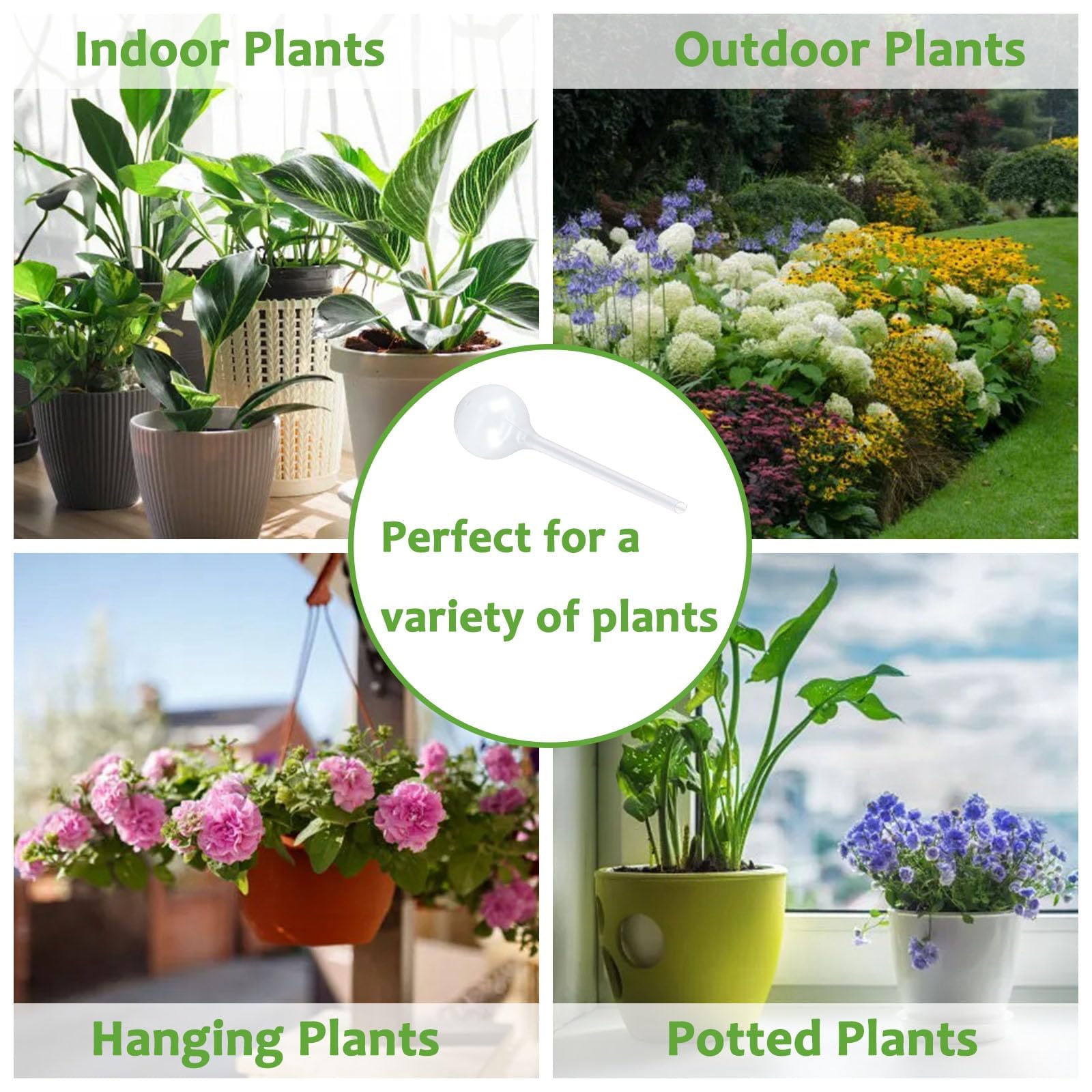 Alluring 6PCS Bewässerungskugeln für Pflanzen 80ml, Selbstbewässerung Watering Globes, Wasserkugeln für Pflanzen, Blumen Wasserspender für Urlaub Indoor Outdoor Balkon Blumentopf Topfpflanzen