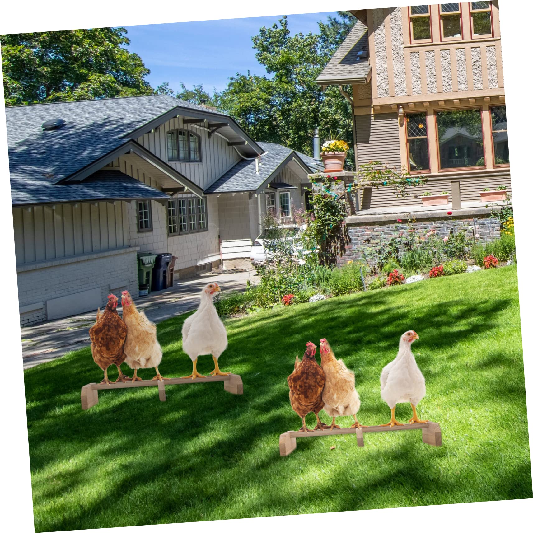 minkissy 2 Soportes para gallina Jaula de pájaros Perca Periquito Juguetes Perchas Aves de Corral Perca Pollo Columpio Juguetes Soporte para pájaros Estante de Pollo Ropa de Cama de Pollo gallinero