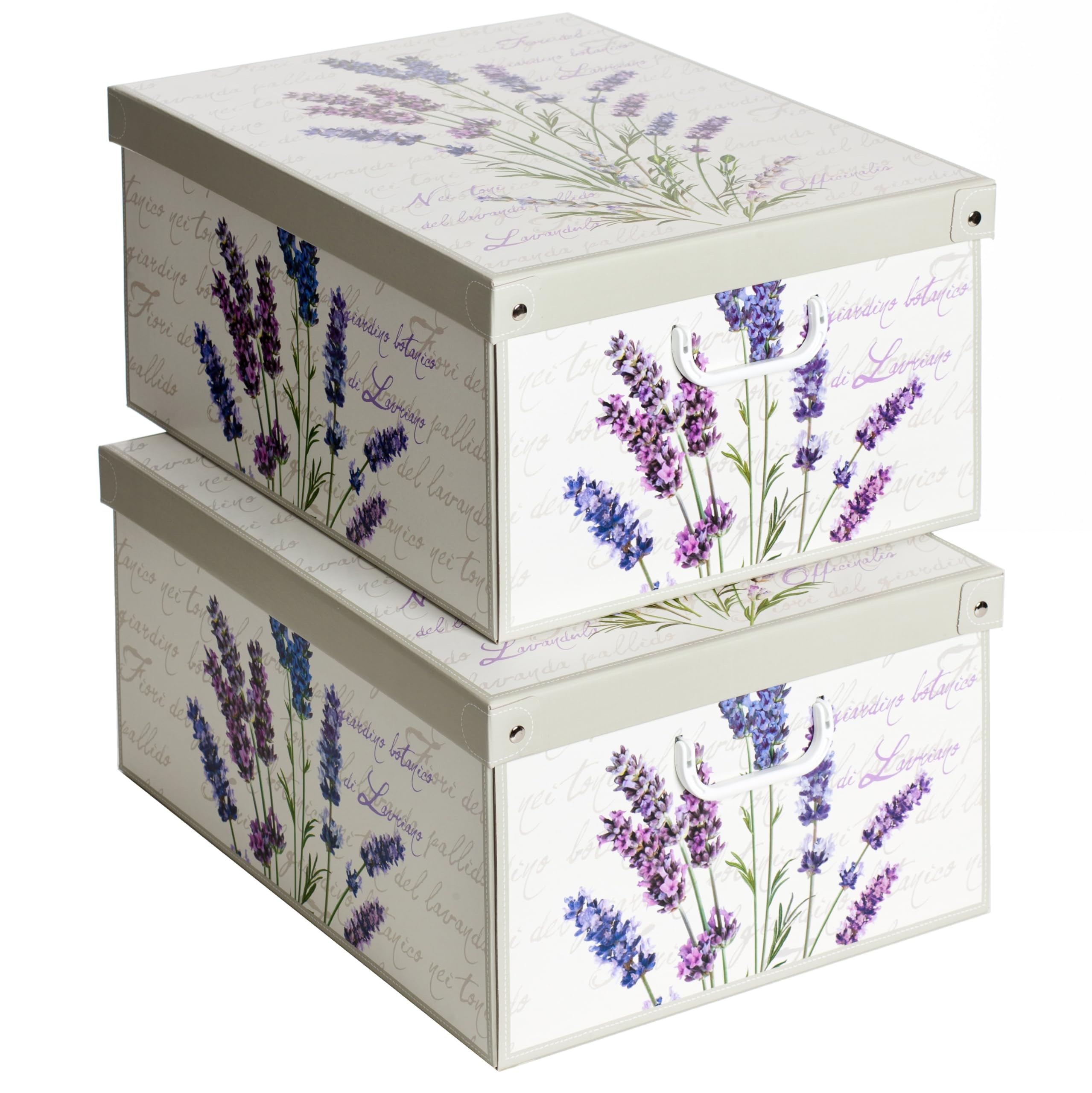 Lavatelli SET 2 Cajas Perfumadas organizadoras de almacenamiento ropa, almacenaje decorativas en carton, 39x50x24cm, para armario, baul, bolsas, ropa, juguetes, jardineria, con tapa, LAVANDA