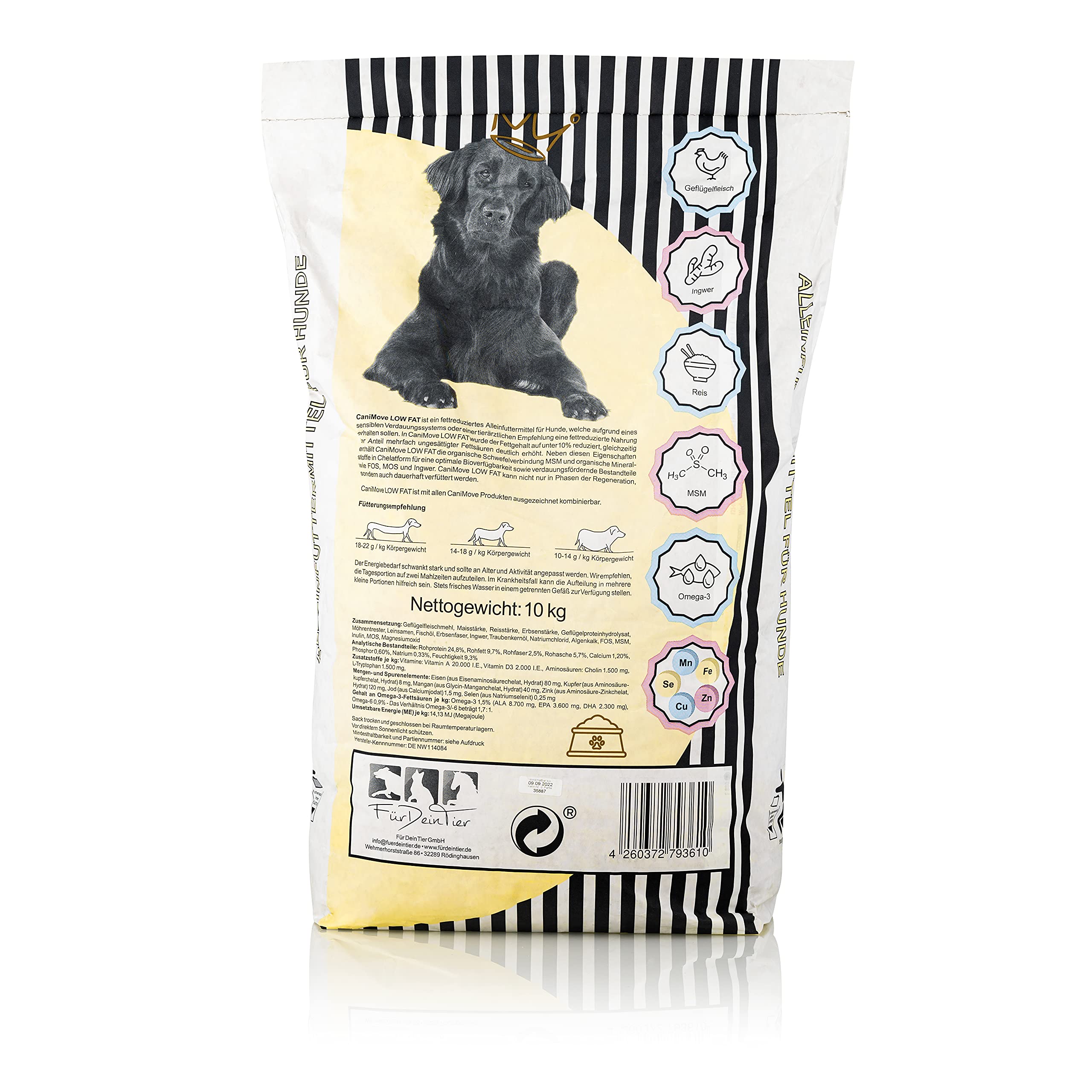 hunde halsband mit namen Hundehalsband Kette mit Namen main image 0