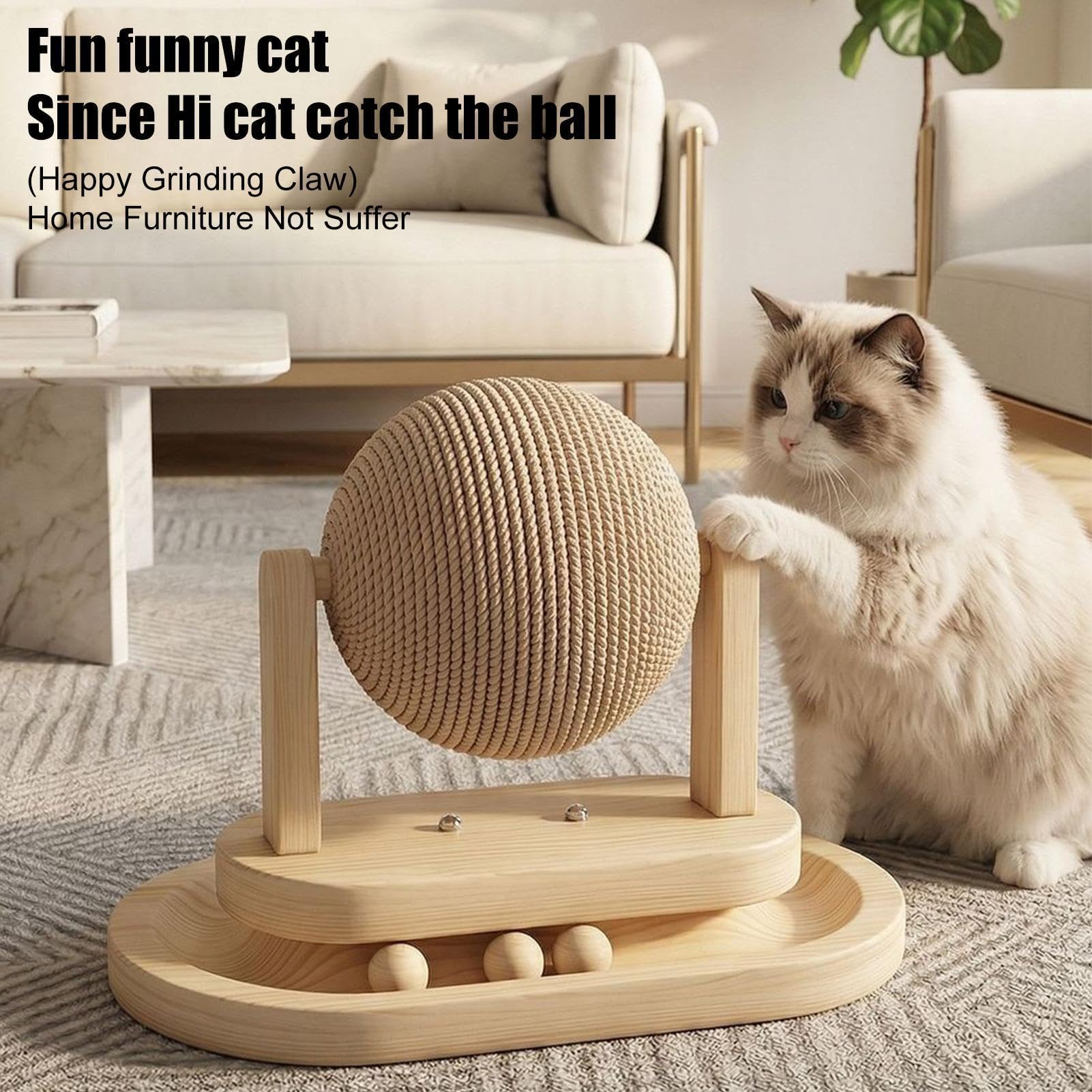 Boule À Griffes Pour Chats D'Intérieur Divertissement Pour Chiot