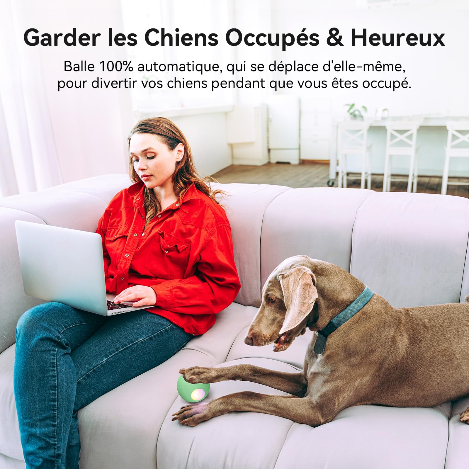 Cheerble Jouet Chien Interactif, Balle Rebondissante Chien avec 3 Modes d'Interaction, avec Lumières LED, Rechargeable par DC (Vert)
