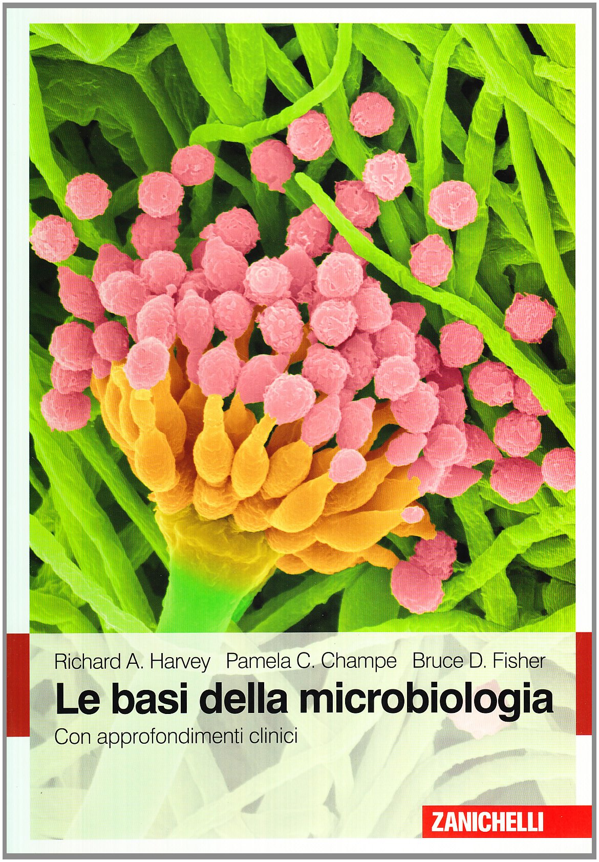 Le basi della microbiologia. Con approfondimenti clinici