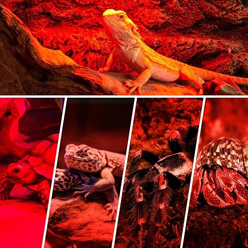 Miniatura 6 de REPTI ZOO Bombilla de calor infrarroja de 150 W para reptiles, paquete de 2 focos infrarrojos para reptiles y anfibios, dragón barbudo, tortuga de