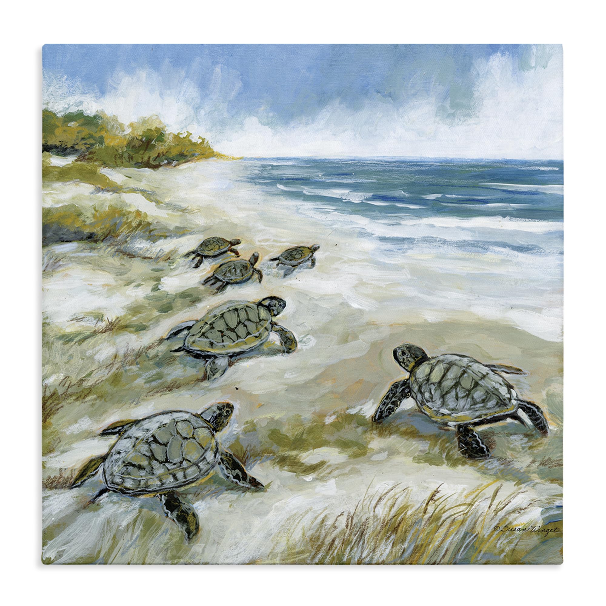 Stupell Industries Baby Sea Turtles Beach Waves 'Baby Sea Turtles On Beach', Canvas Art, 24 X 24 Inches, Easy To Hang And Sturdy, Made In Usa, By Susan Winget