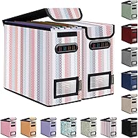 Vista 22 de Caja organizadora de archivos BALEINE con tapa, organizador de carpetas de archivos plegable con deslizador de plástico, caja de carpetas