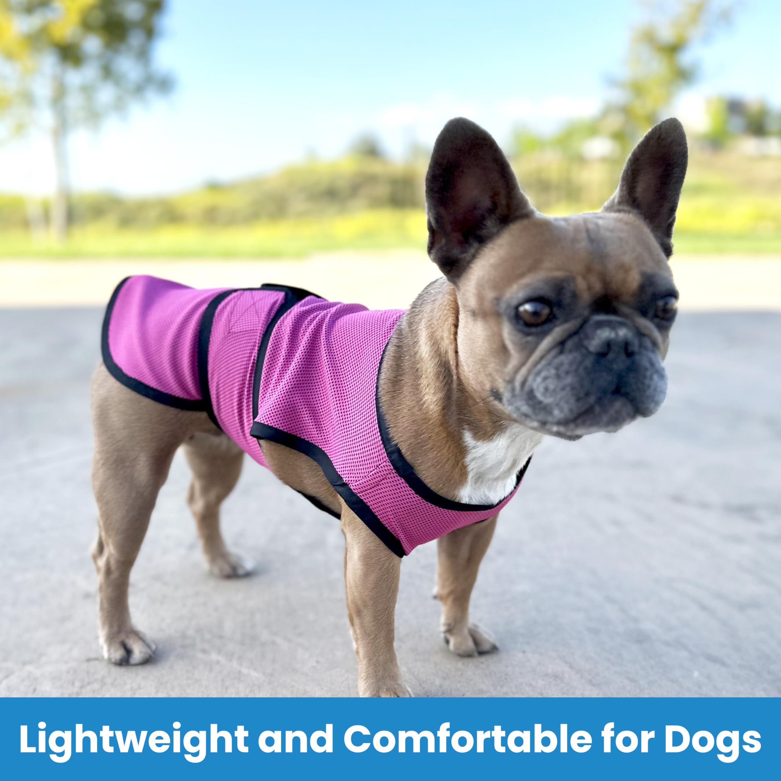 Gilet de Refroidissement pour Chien léger avec Technologie de Microfibre évaporative et Anti-UV, Taille pour Chiens Petits, Moyens et Grands, (M, Rose Rouge)