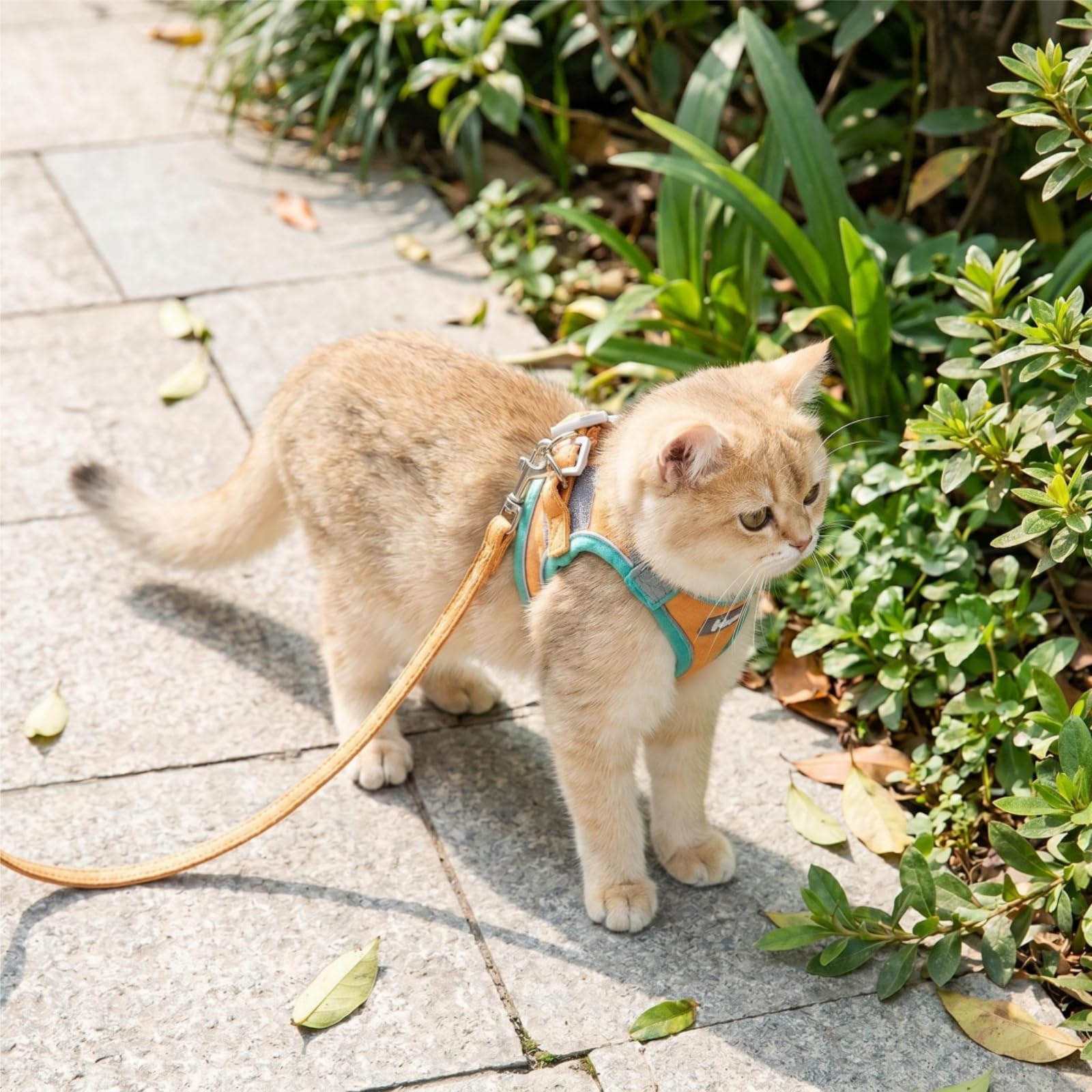 Set di imbracatura e guinzaglio per gatti, imbracatura per gatti, imbracatura anti-fuga, imbracatura anti,fuga confortevole, traspirante e regolabile per gatti piccoli e cuccioli (blu, M)
