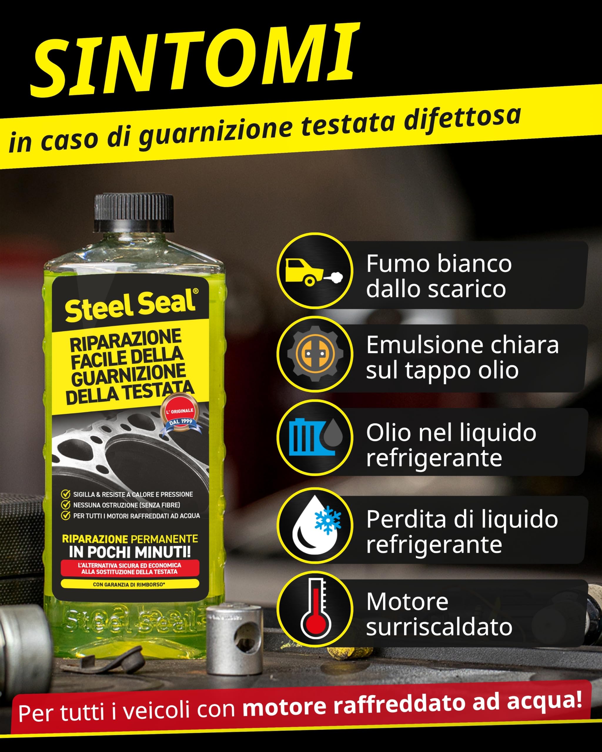 STEEL SEAL Sigillante guarnizione testata – Ripara la guarnizione, ferma la perdita di liquido refrigerante e previene danni al motore senza officina – Adatto a tutti i motori raffreddati ad acqua