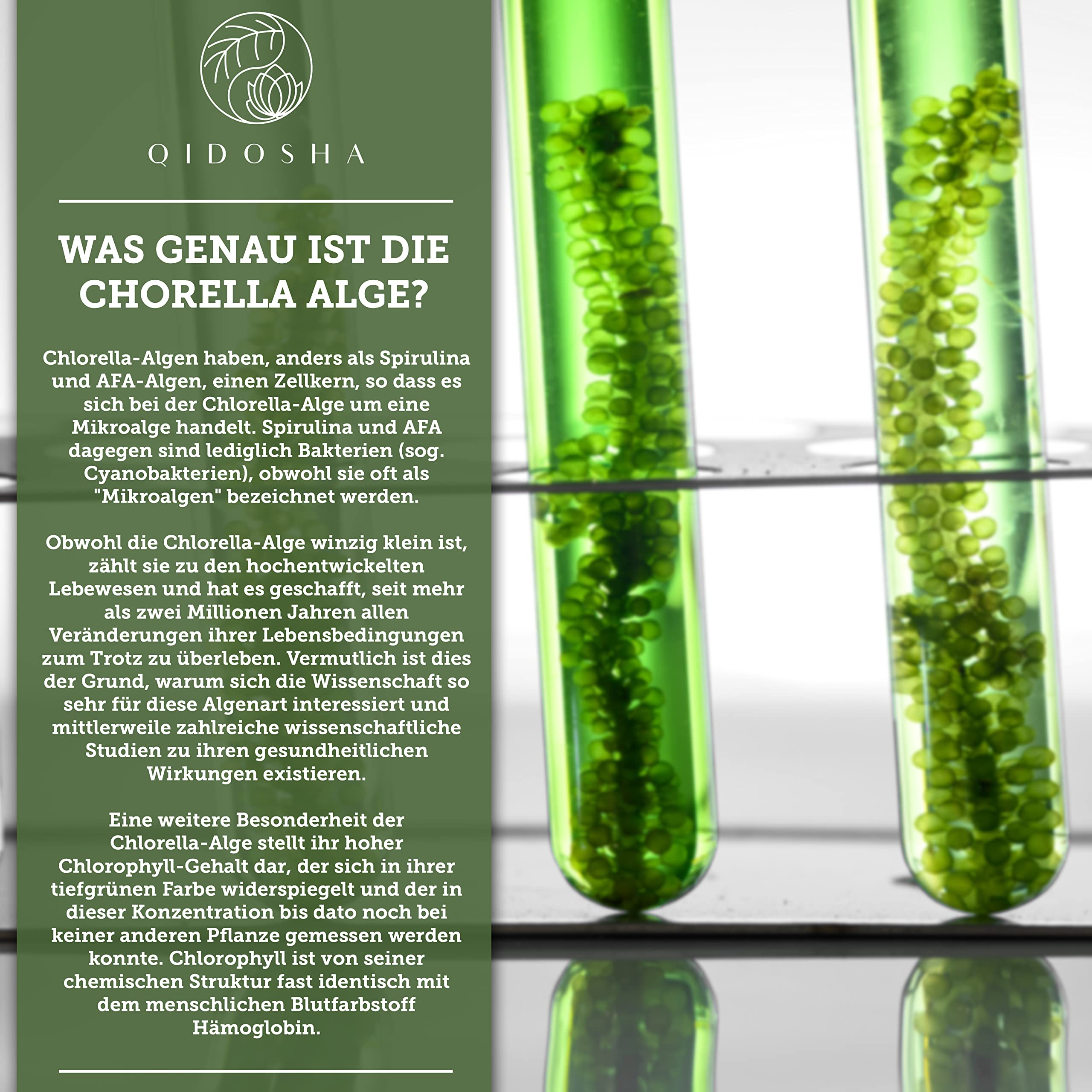 QIDOSHA® Bio Chlorella Presslinge, 600 Stk/Glas, 500mg je Pressling, 100% natürliches Bio-Chlorella vulgaris Pulver aus kontrolliert biologischem Anbau, mit bereits aufgebrochener Zellwand