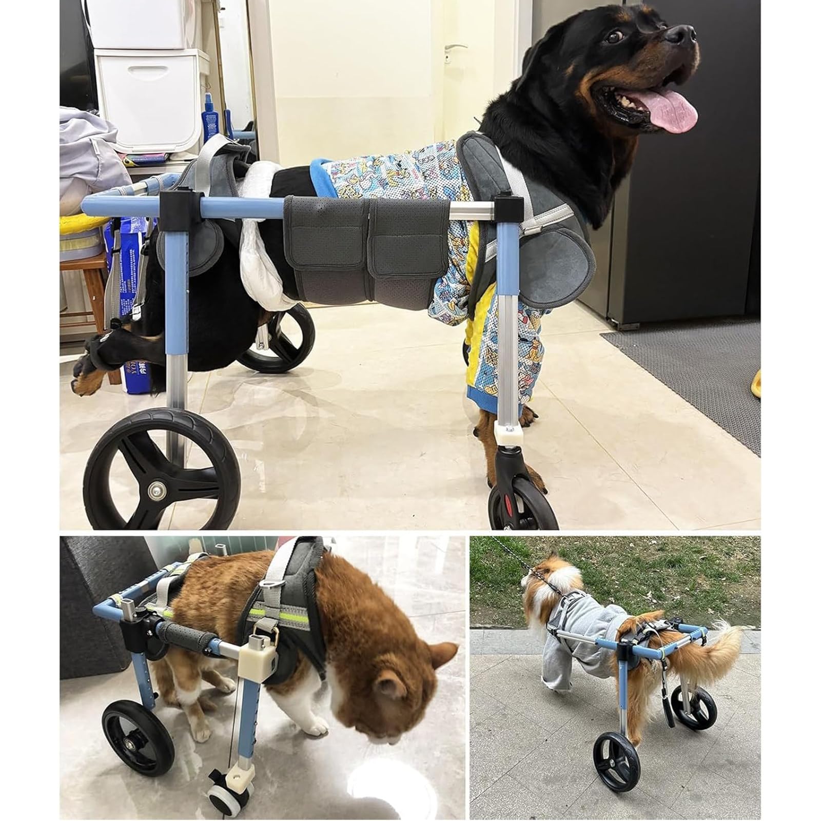 Silla de ruedas para perros discapacitados, soporte de ruedas ajustable 2 en 4, ayuda de movilidad para niños pequeños a grandes, equipo de rehabilitación de mascotas, mejora la movilidad