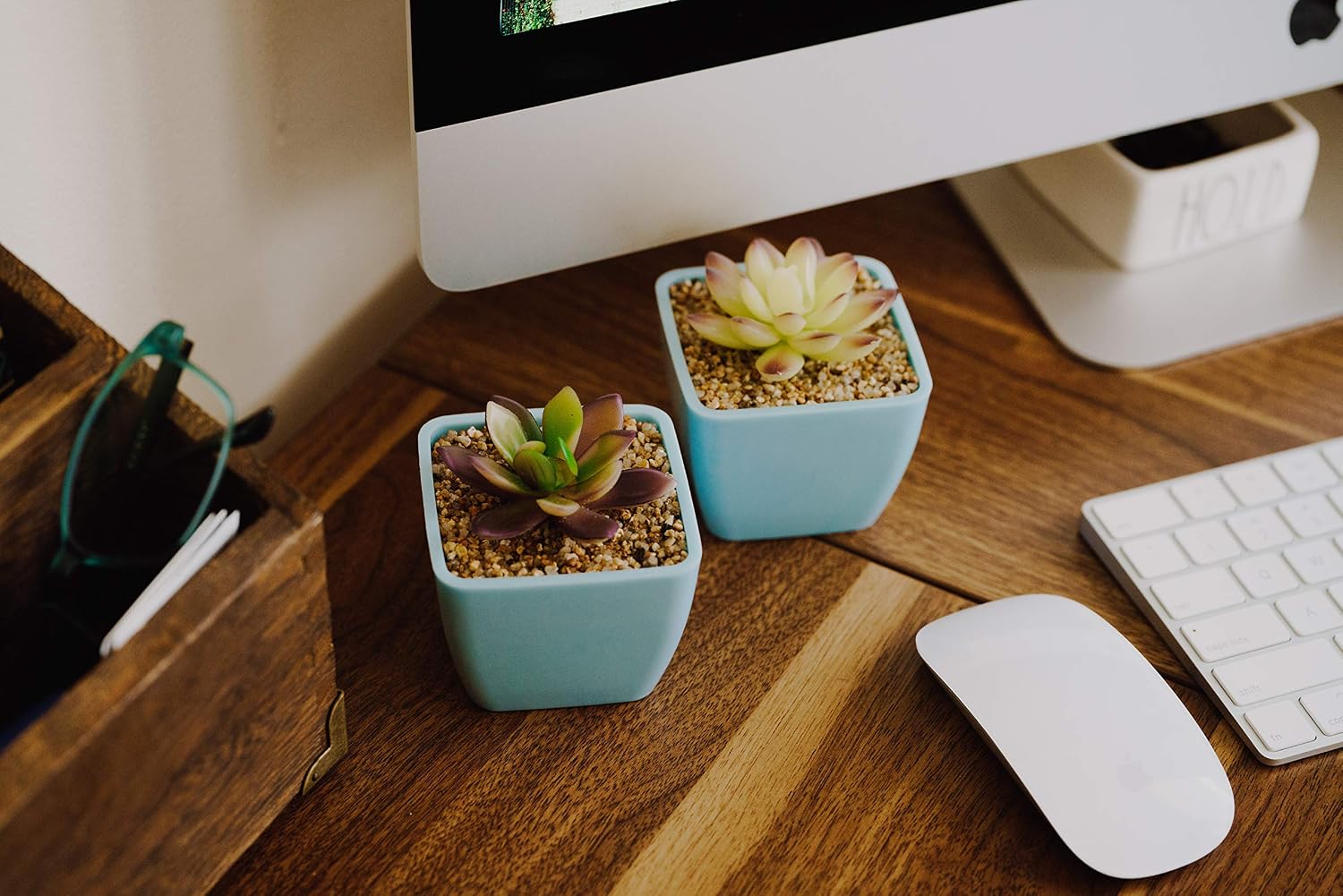 BW Goods Artificial Succulent Plants in Pots – Artificial Succulents | Light Blue Plastic Pots | Fake Potted Mini Succulent Plants | Set of 4