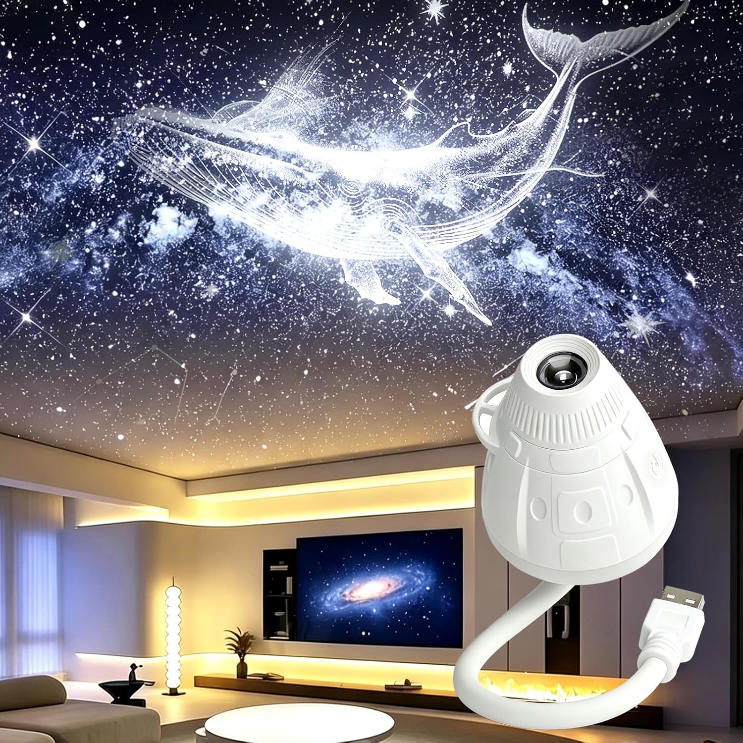 2-in-1 Galaxy Projector Night Light, USB Star Projector for Bedroom
