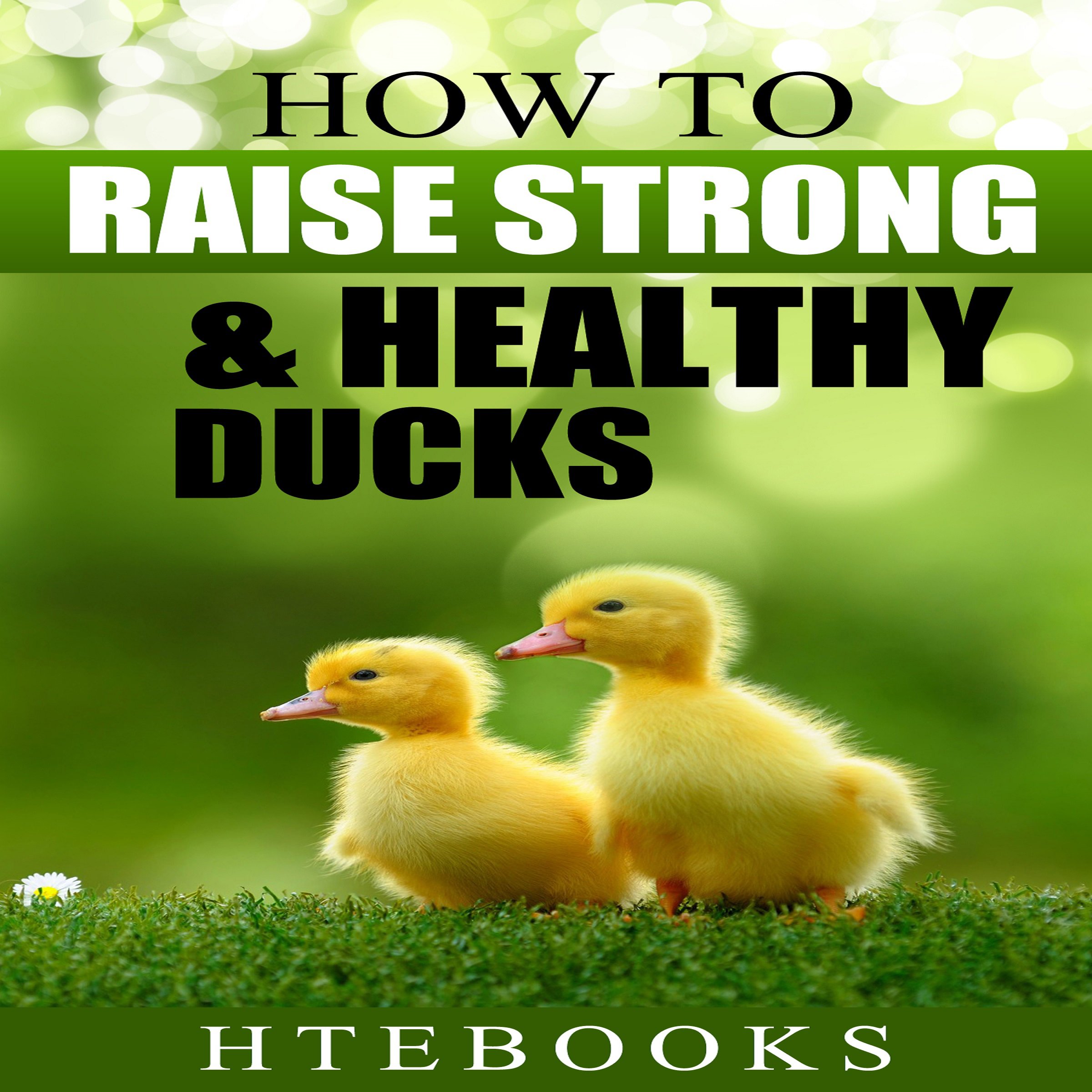 Cover art for How to Raise Strong & Healthy Ducks: Quick Start Guide