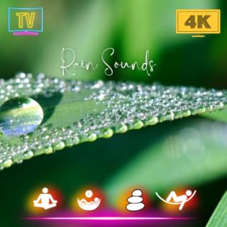 Rainy Oasis: Serene Rain Sounds for Restful Sleep For TV - NO ADS
