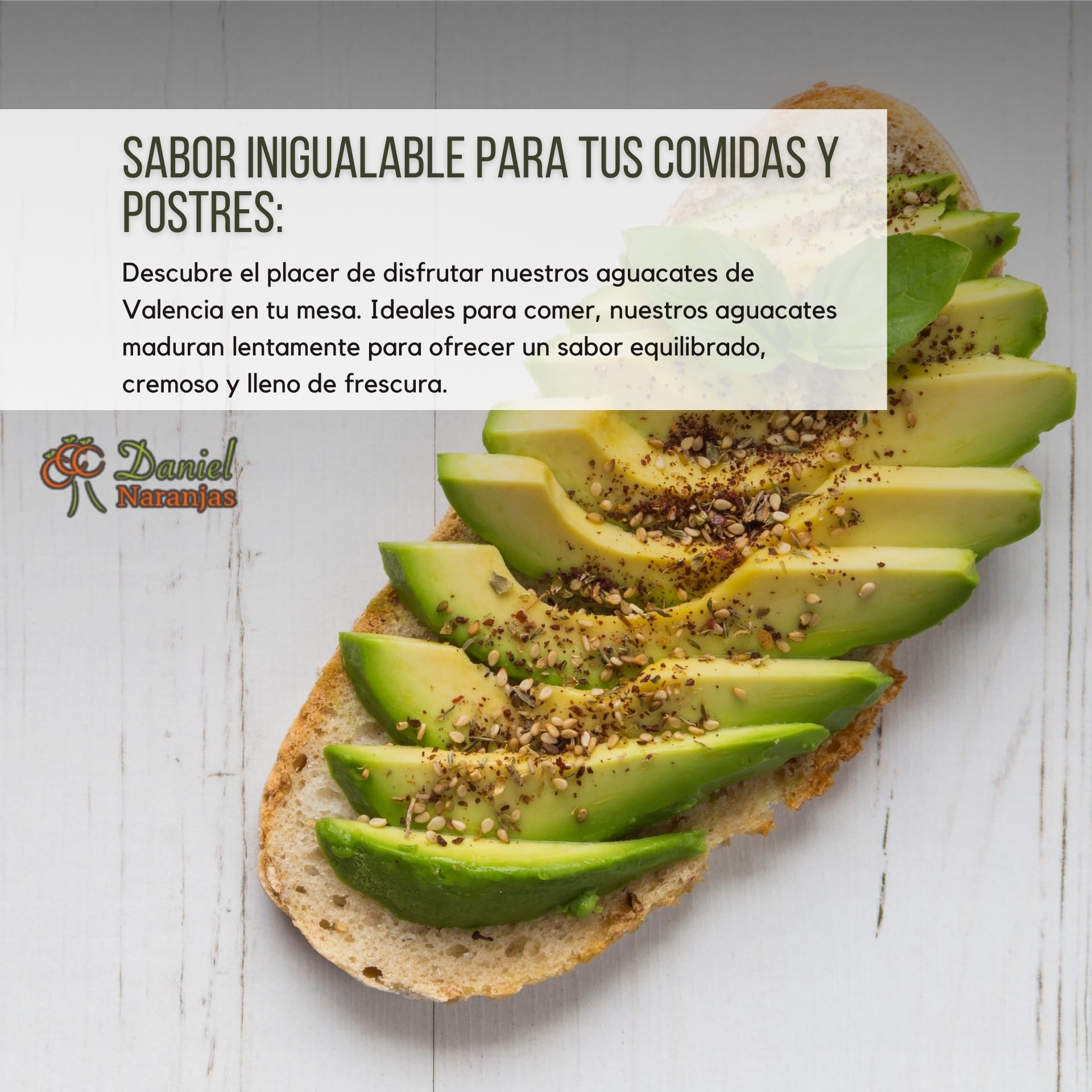 NARANJAS DANIEL | Aguacates frescos de Valencia (4 KG) | Del árbol a tu mesa | Sabor equilibrado, cremoso y fresco | Sin conservantes ni aditivos
