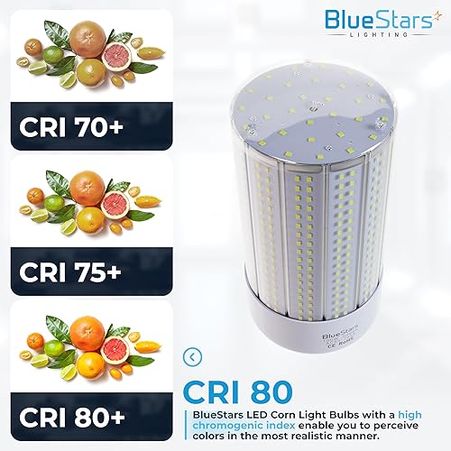 Miniatura 5 de BlueStars Bombillas LED superbrillantes de maíz de 100 W (equivalente a 1000 W) E26E27, base media, 7600 lúmenes, 5000 K, blanco frío para