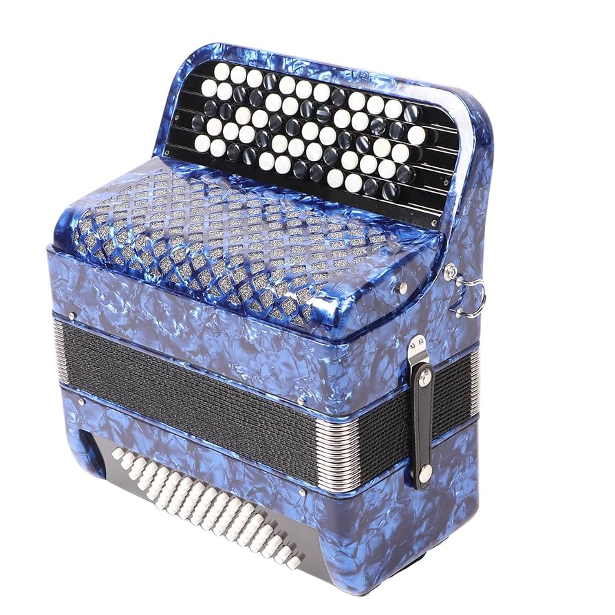 Amazon | 62 キー アコーディオン、ダイナミック サウンド