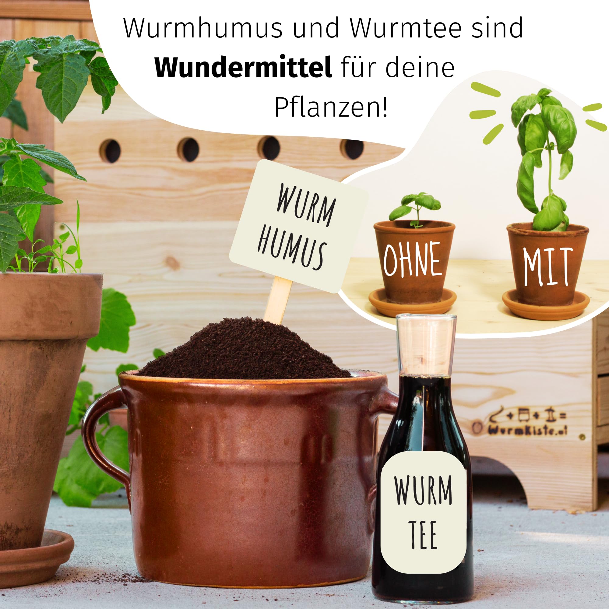 500 Kompostwürmer kaufen in 5L Kompoststarter Substrat - Eisenia Würmer produzieren Wurmhumus
