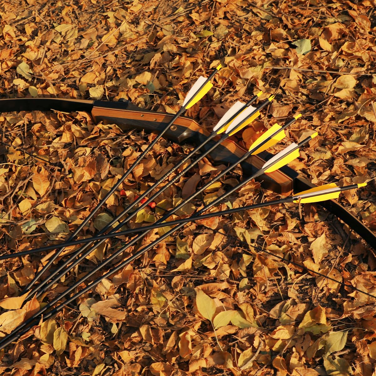 Target Practce Arrows Snapklik.com : LWANO 30