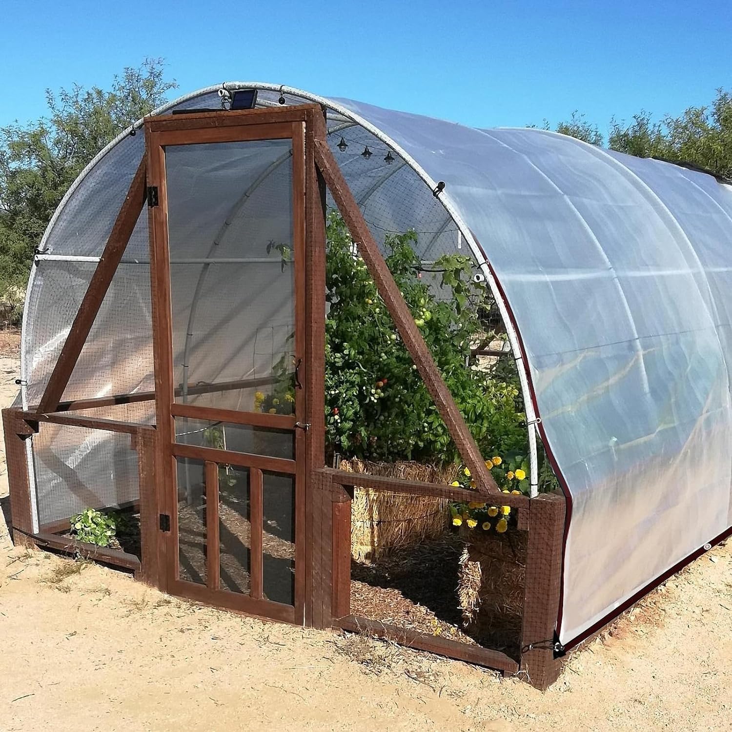 Bâche Transparente, 2,5x4,5m Résistant Aux Intempéries Bâche en Plastique avec Oeillets Jardin Imperméable Transparent Bâche PE Couverture De Plantes(2.5x4.5m)