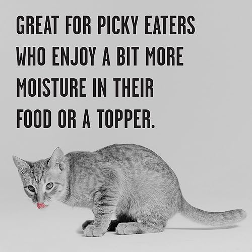 Miniatura 5 de BIXBI Rawbble Receta de paté de pollo para latas de gatitos, sin granos, rica en proteínas, comida húmeda para gatitos (latas de 2.75 onzas, caja de