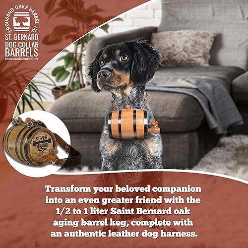 Vista 56 de St Bernard - Collar de barril de whisky para perro, Pooch Hooch' - Dispensador de barril de roble de 1/2 litro para perros San Bernardo con correa