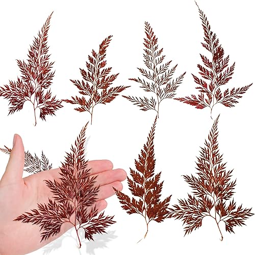 ALJ Hojas de helechos secos, 42 hojas de helecho prensadas de color rojo natural, hojas prensadas para plantas reales para arte de resina,