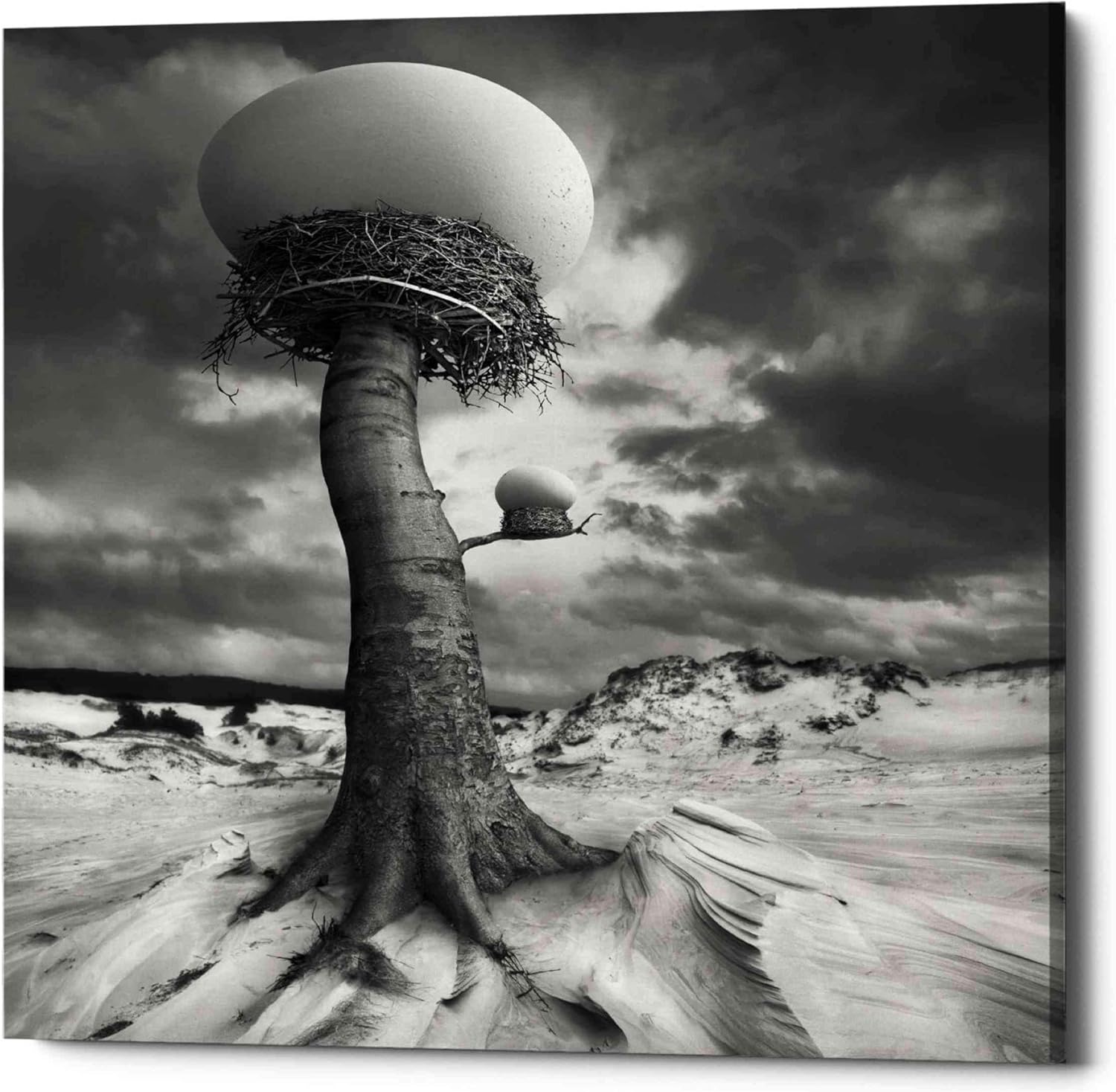 Epic Graffiti '2nests' by Dariusz Klimczak, Canvas Wall Art, 12"x12"