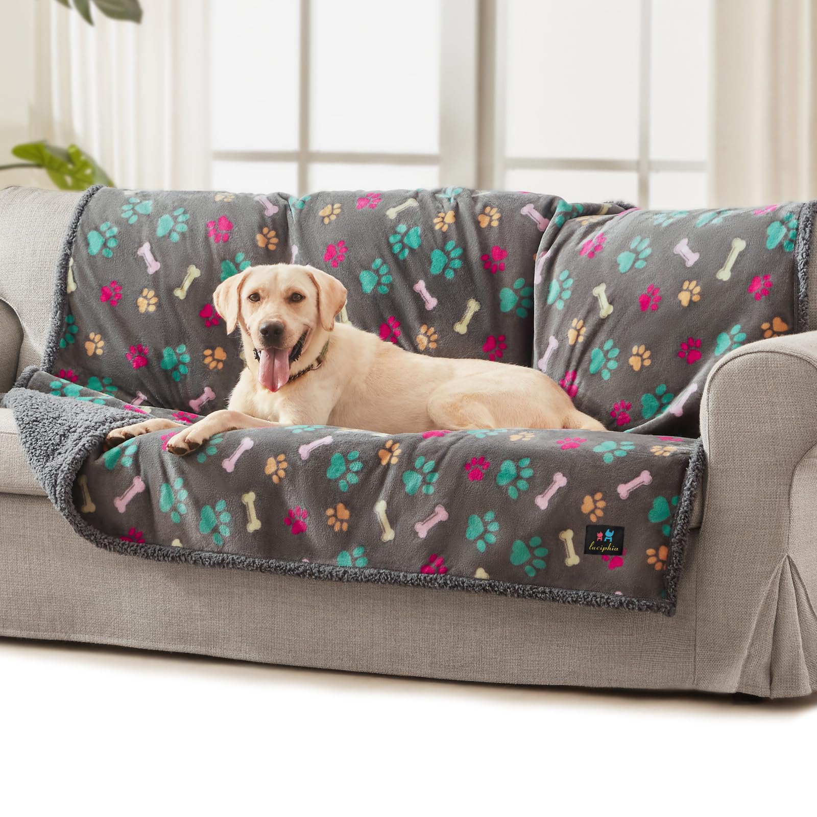 Luciphia Waterproof Pet Blankets for Couch Sofa Bed Cover Cat Liquid Pee Proof Washable Soft Fluffy Large Dog Blanket Reversible Furniture Protection Puppy Grey Bone Thicken Large（65" x 57"）