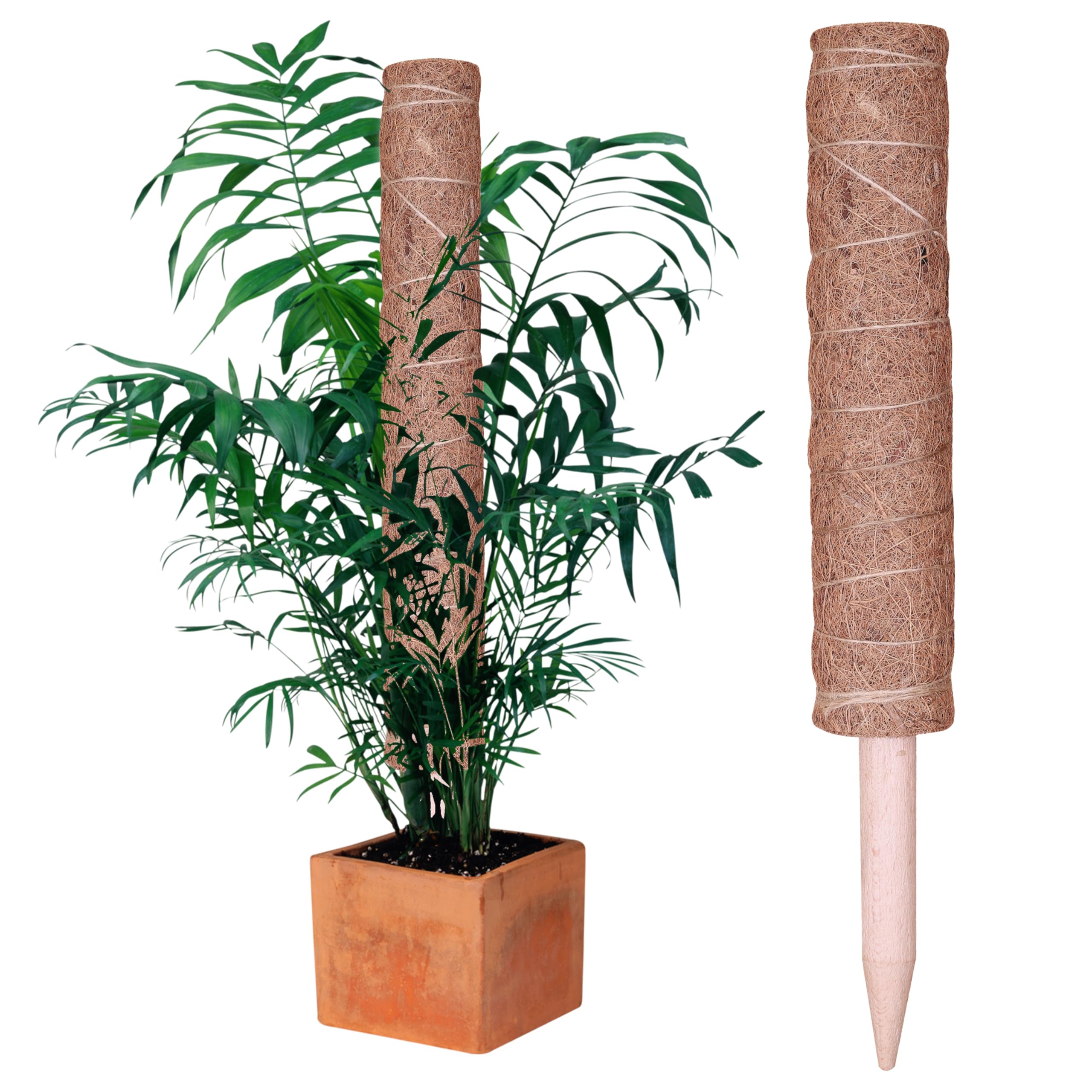 My Garden Moss Pole 50CM Coco Coir Totem Moss Poles Plants Support for Climbing Plant Includes 10x Ties & 10x Name Cards Moss Pole for Monstera Cheese Indoor & Outdoor House Plants