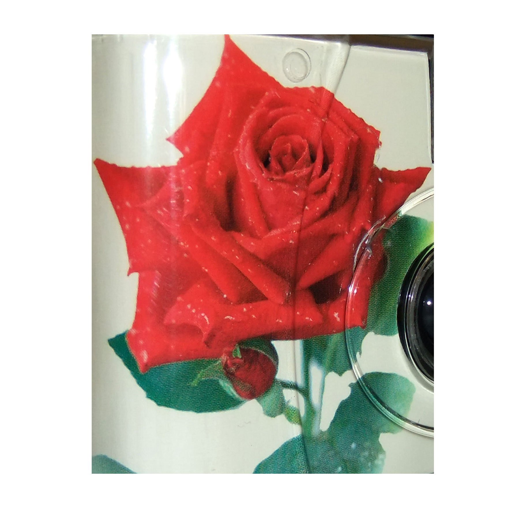 Hochzeitskamera / Einwegkamera Rote Rose mit Ringe (deutsche Bedienungsanleitung, mit Blitzlicht und Batterien, je 27 Fotos, ISO 400 Fuji)