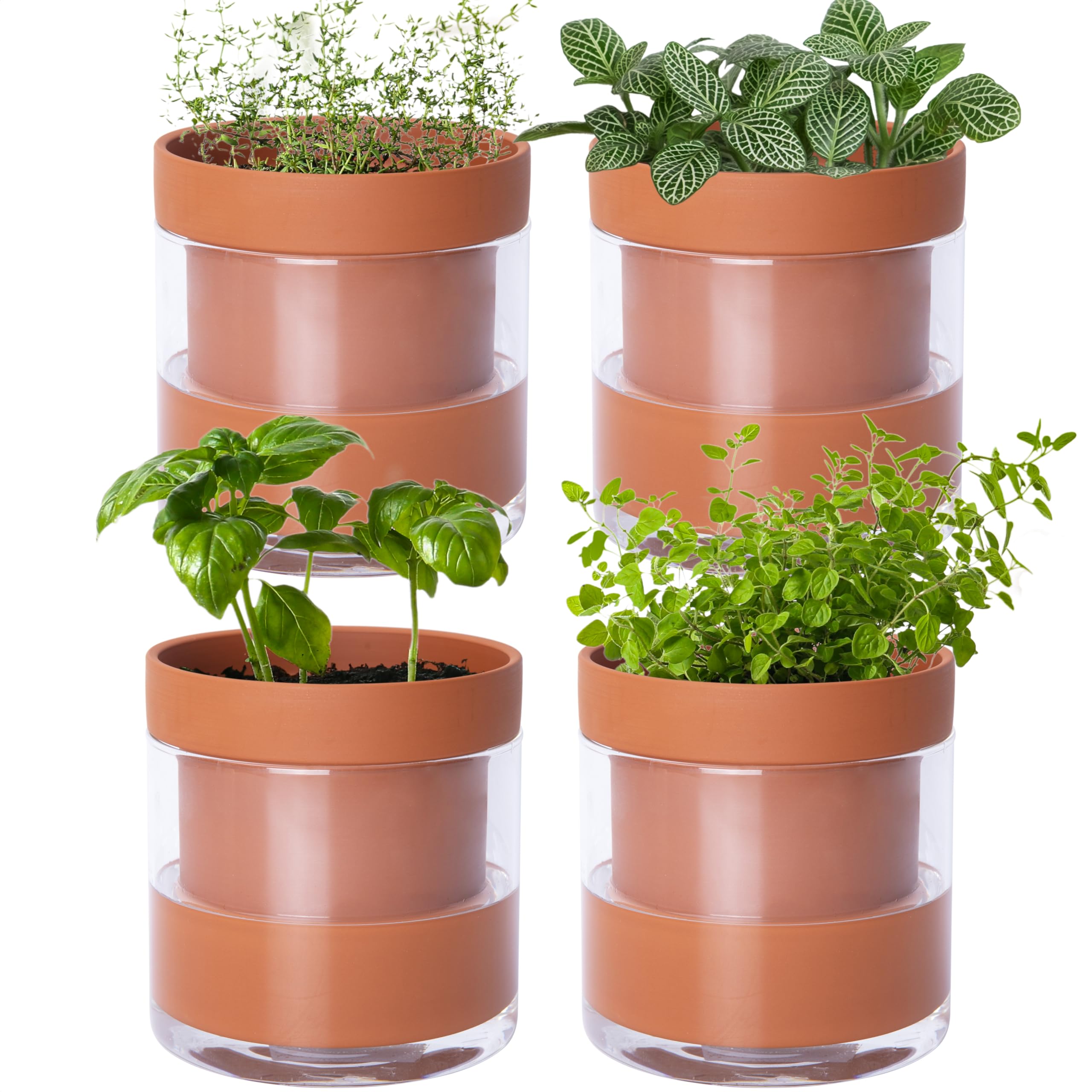 Phoenix Vine 4 Inch Self Watering Planter Pots