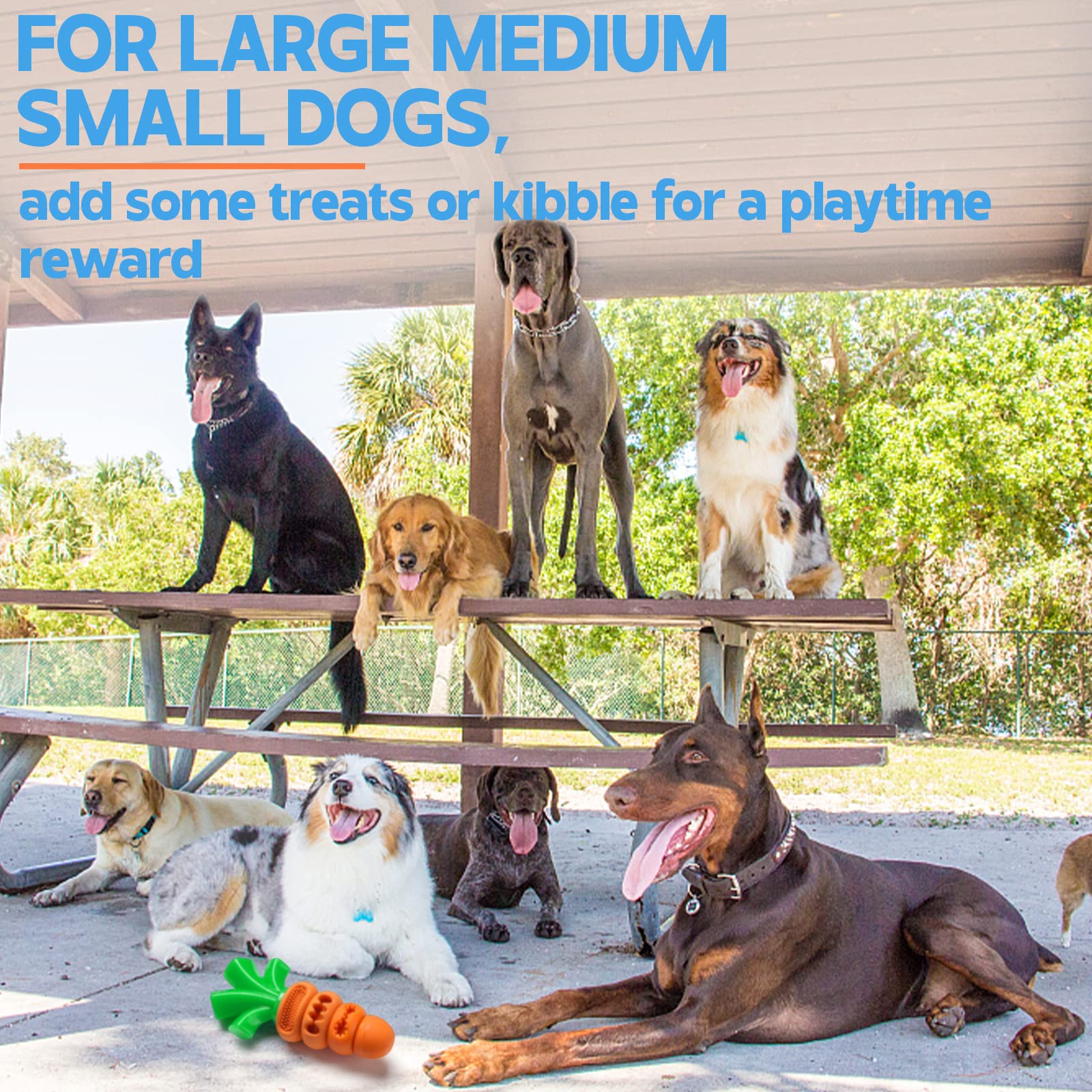 The 12 Best Dog Toys, According To Our Pups Reviews By Wirecutter