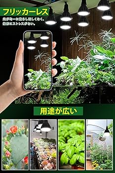 植物育成ライト 10W 5800K 5個 白色 太陽光 フルスペクトルLED31 81UaZWC93NL._UF350,350_QL50_.jpg