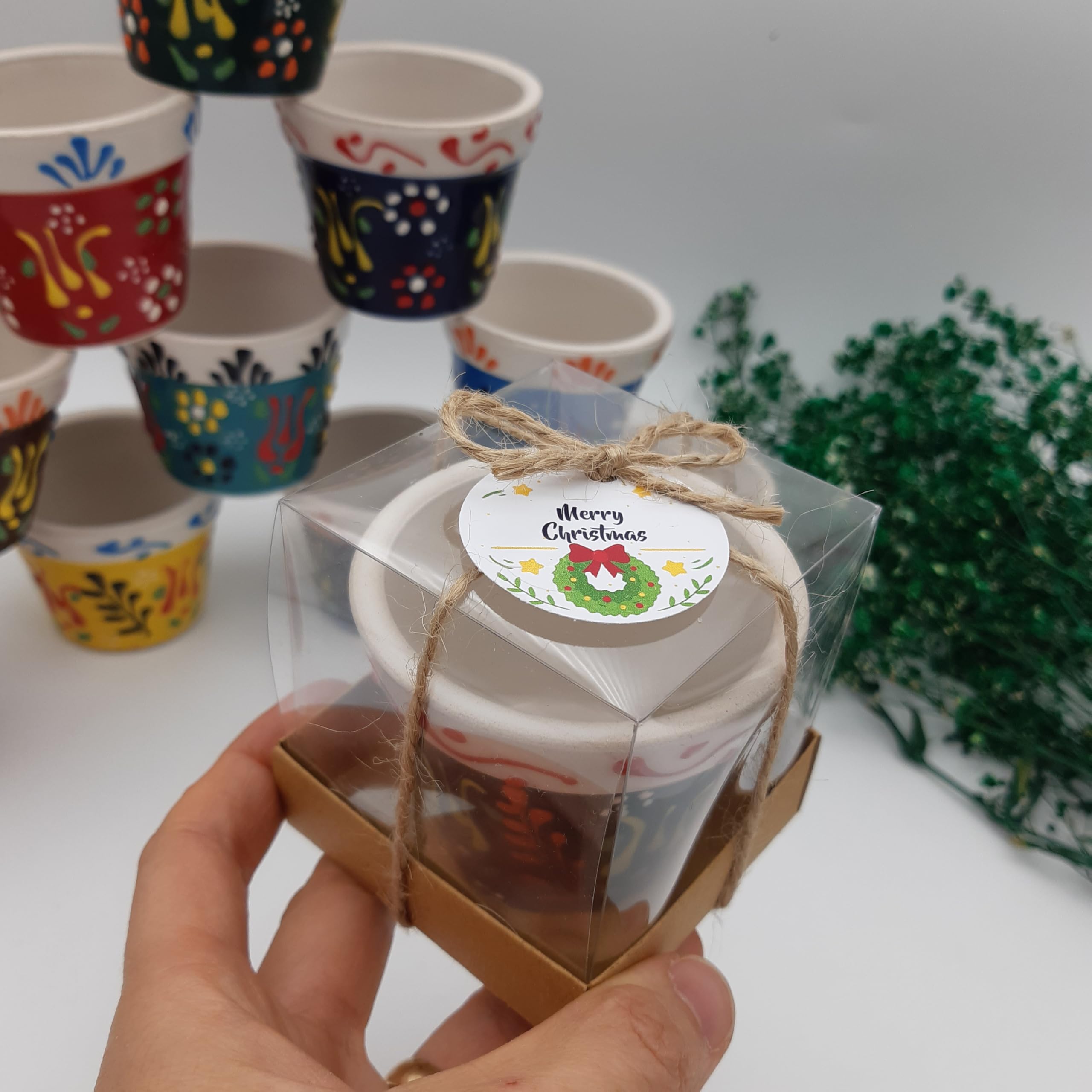 Bomboniere per addio al nubilato per ospiti, vaso in ceramica per piante grasse in scatola, bomboniere per gli ospiti, sfuso, regalo per feste in spiaggia, piante grasse vive non include