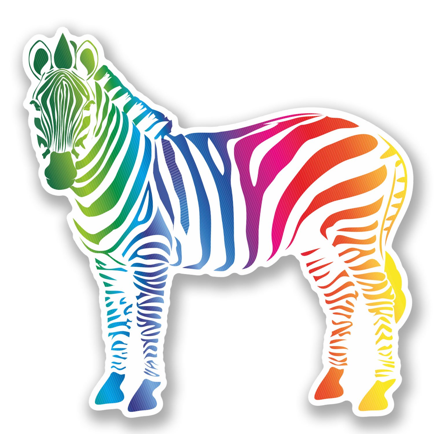 Destinationvinyl Girls Multi 2 X 10Cm Colourful Zebra Vinyl Decal Stickers Laptop Helmet Skate #5654 (10Cm X 10Cm)
