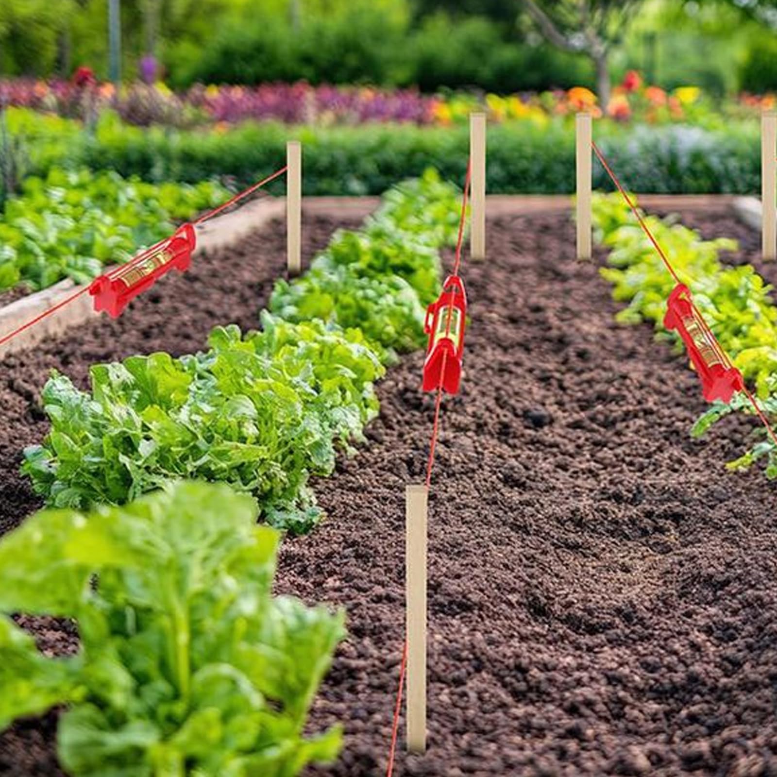 Generico 20 paletti per Piante in Legno Naturale con spago e 5 livelle a Bolla per Giardinaggio all ' Aperto, tasselli paesaggistici, Set Attrezzature da Giardinaggio, Set Corde da Giardino