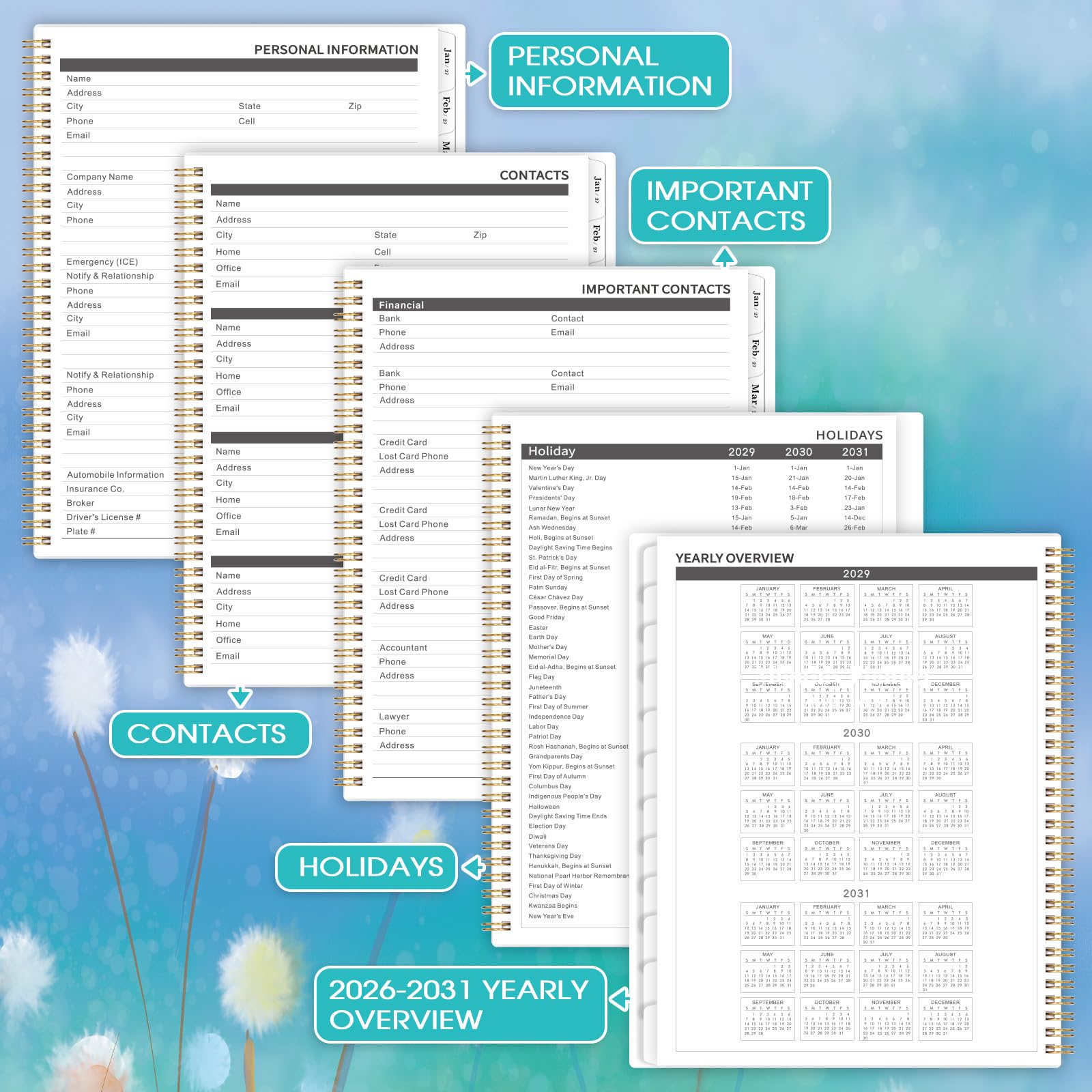 Monatsplaner/Kalender 2026-2031 - 5 Jahre Monatsplaner 2026-2031 von Juli 2026 - Juni 2031, 22,9 x 27,9 cm, Kalender 2026-2031 mit markierten Registerkarten