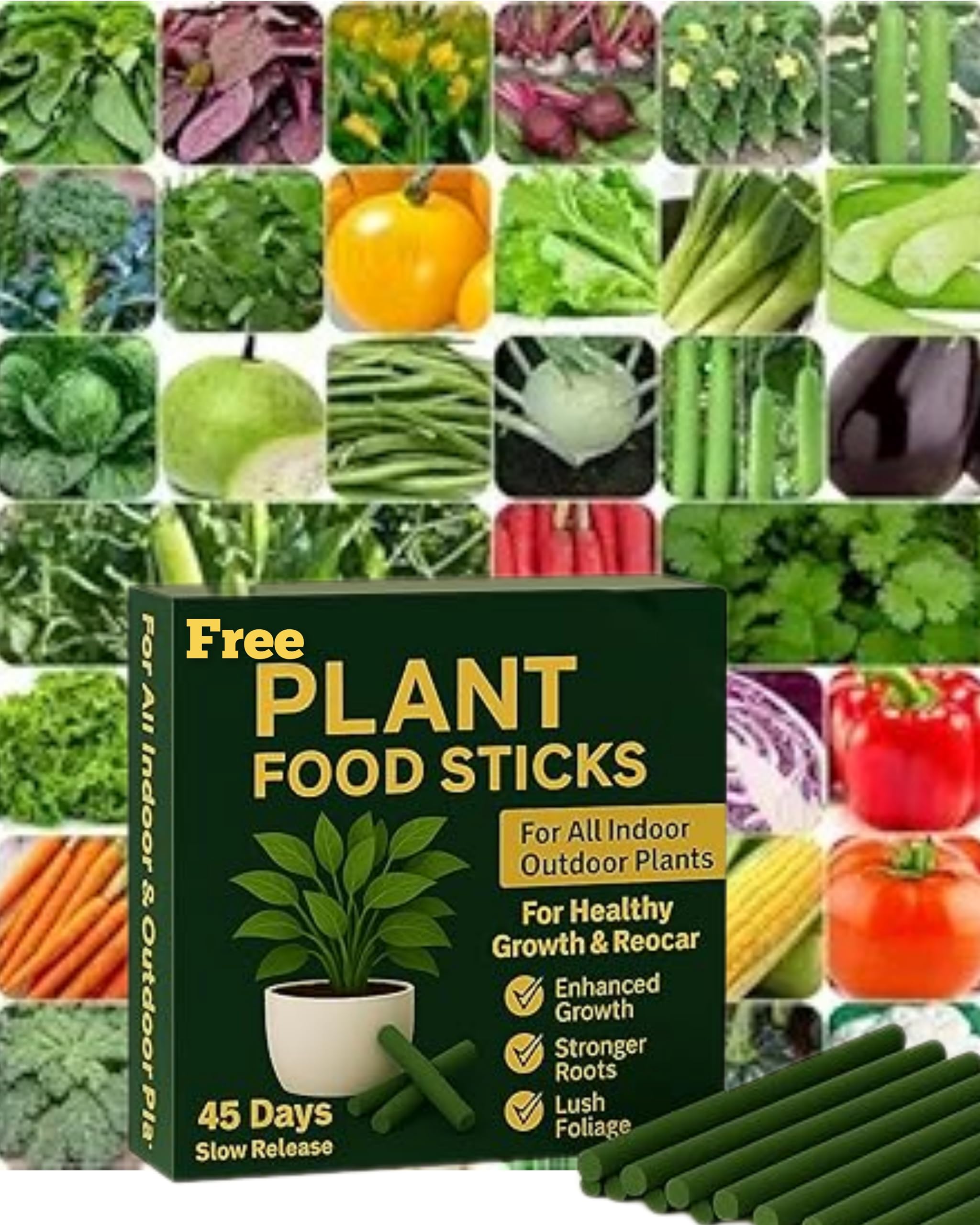 RootNrise Vegetable Seeds Collection, Varieties with FREE Plant Food Stick, Home Garden Growing Kit (20) Varieties