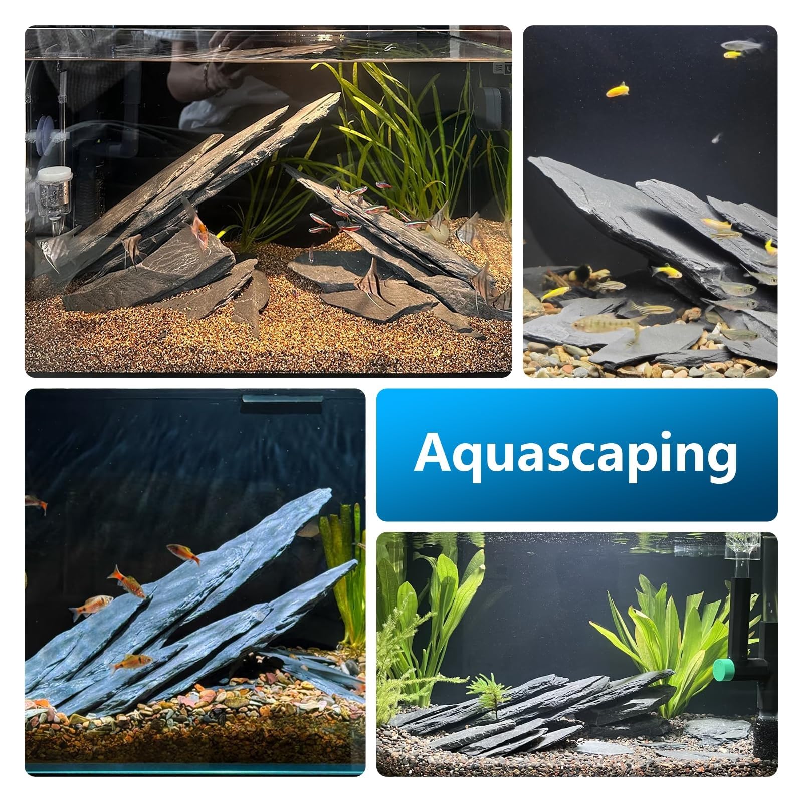 Natürliche Schiefersteine 2,3 kg – Schwarze Schieferplatten für Aquarium, Terrarium & Reptilien, Aquascaping Deko, Feengarten, 8–20 cm