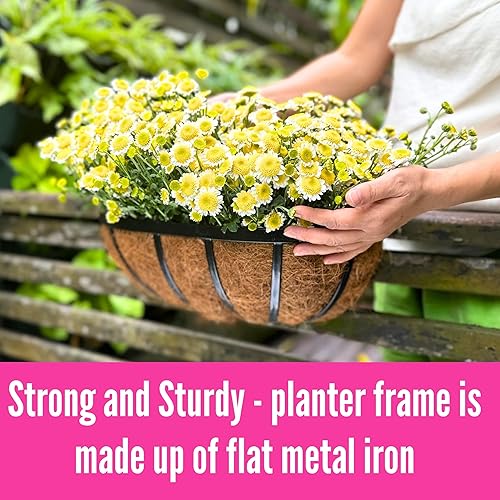 Miniatura 7 de LaLaGreen - Macetas de pared de metal negro para plantas (2 unidades, 24 pulgadas), para plantas al aire libre, barandillas de ventana con forro de