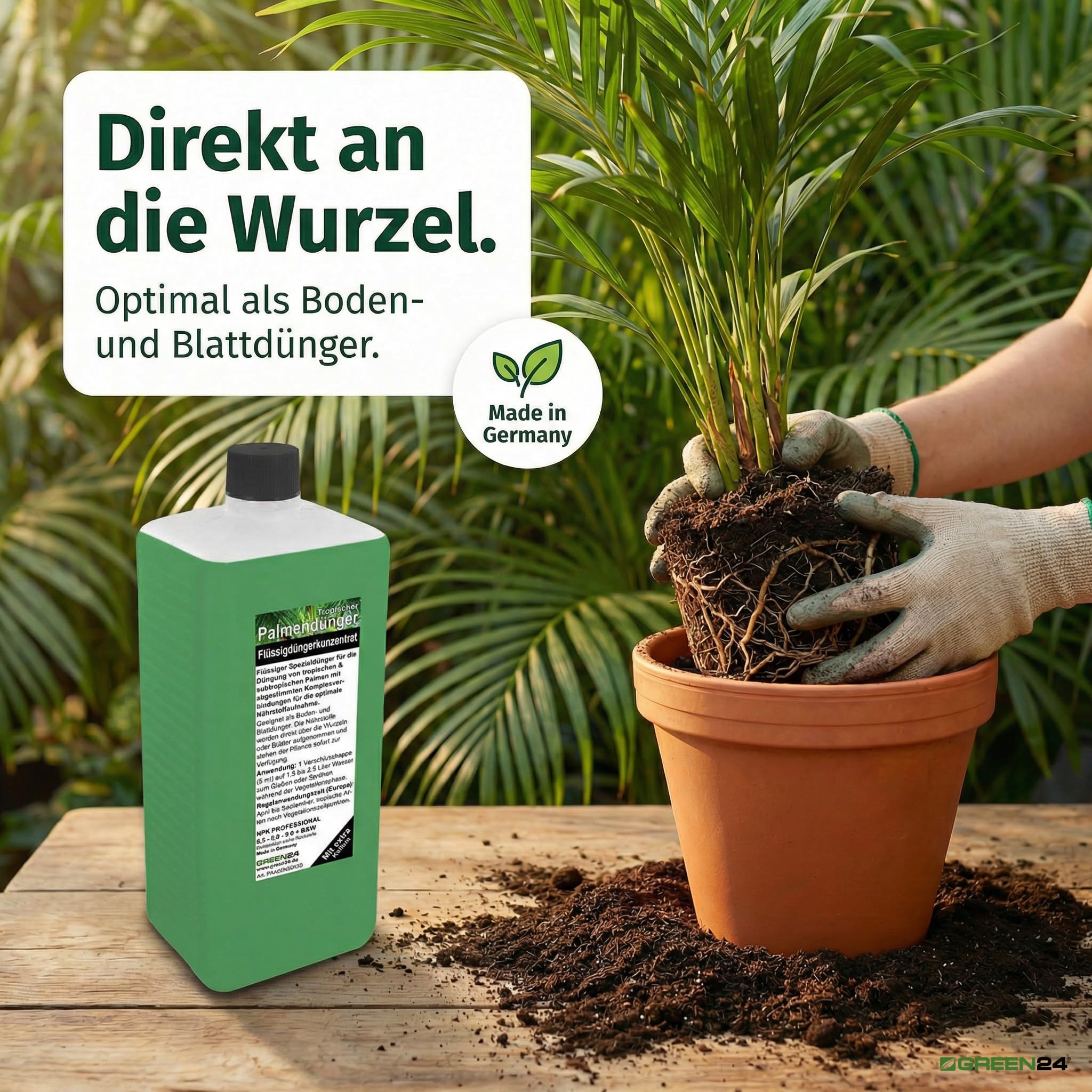 Engrais 1 l xL profi engrais pour palmiers ligne engrais nPK système d'engrais foliaire